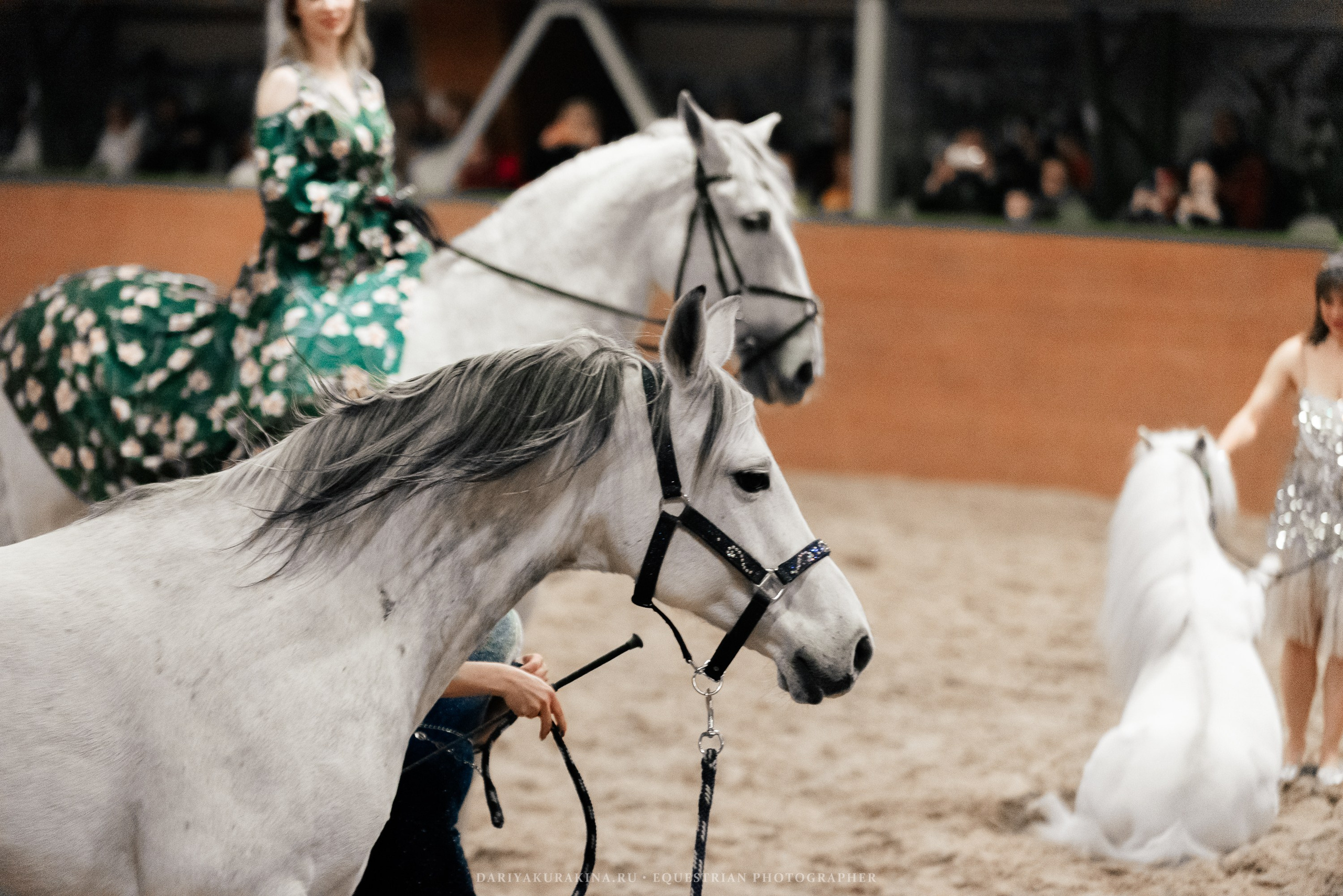 Конное представление «Дыхание Звёзд». Конный фотограф Куракина Дарья • Фотосессии с лошадьми
