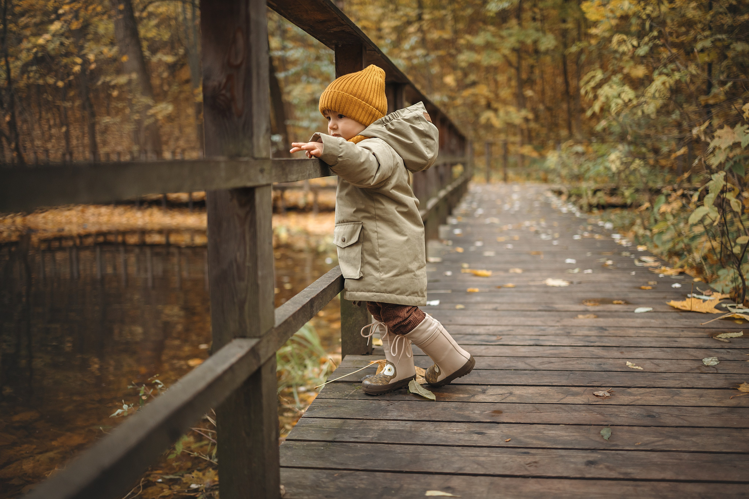 Осень в Нескучном саду (в обработке). Фотограф Анималист в Москве Анастасия Жучкова