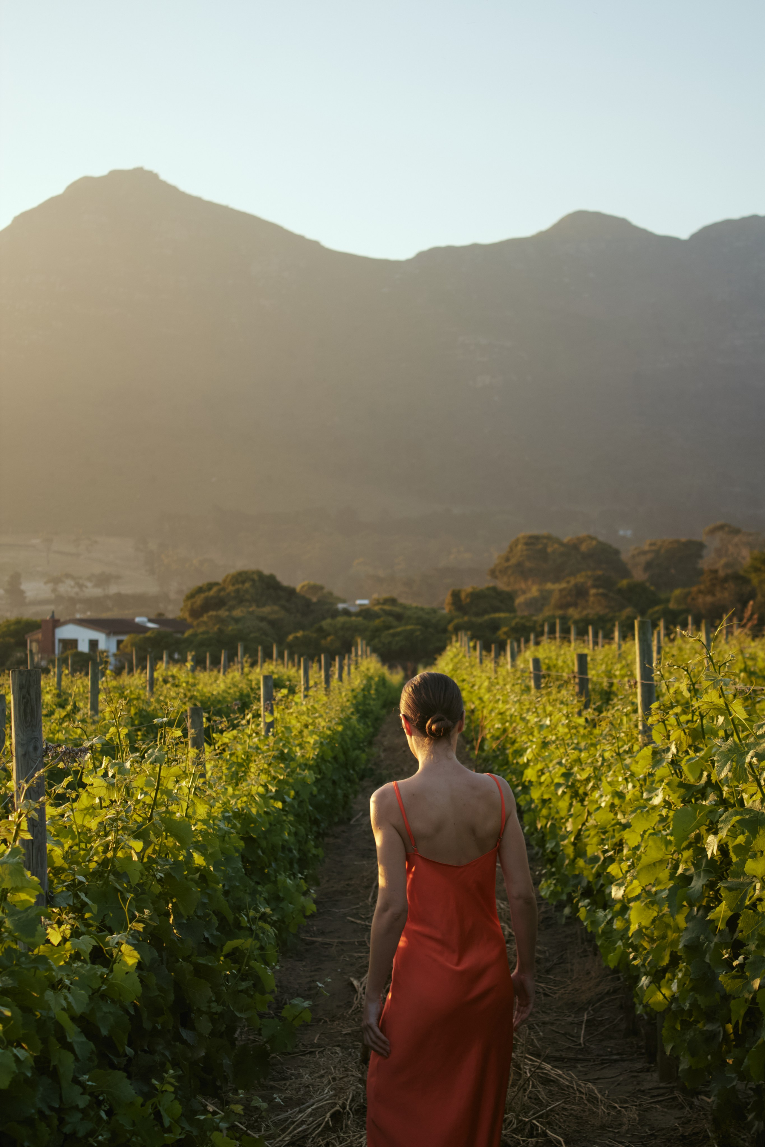 ЮАР. Профессиональный Фотограф во Владимире, в Москве и в Суздале — Полина Романычева