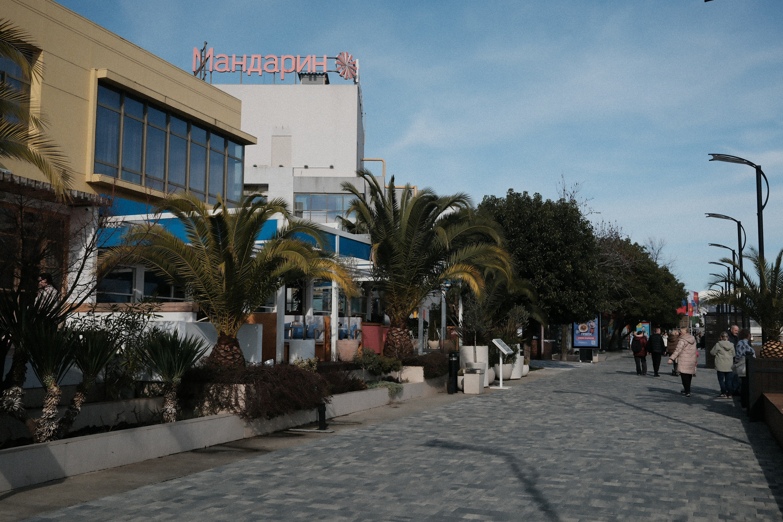 Фотографии зимнего Адлера. Алексей Торопов фотограф