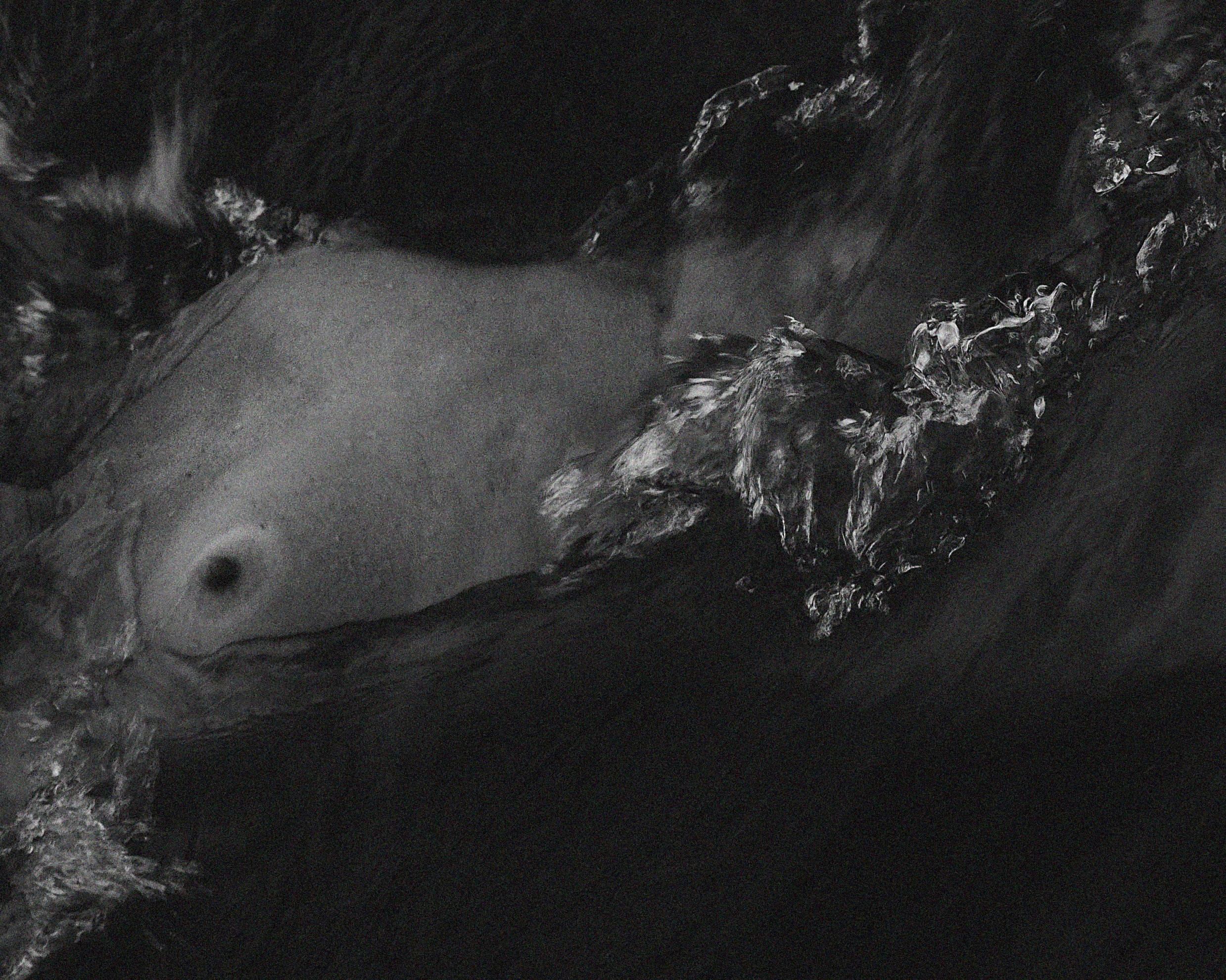 Русалка. Маша Обатнина