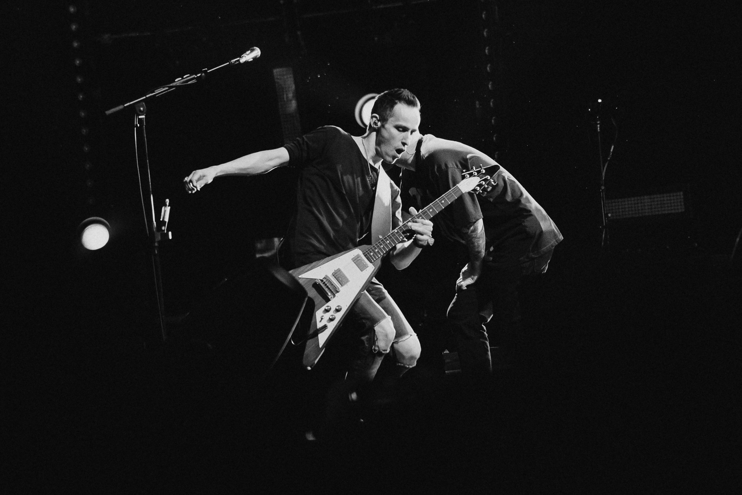 Звери 2025. Репортажный фотограф в Кемерово