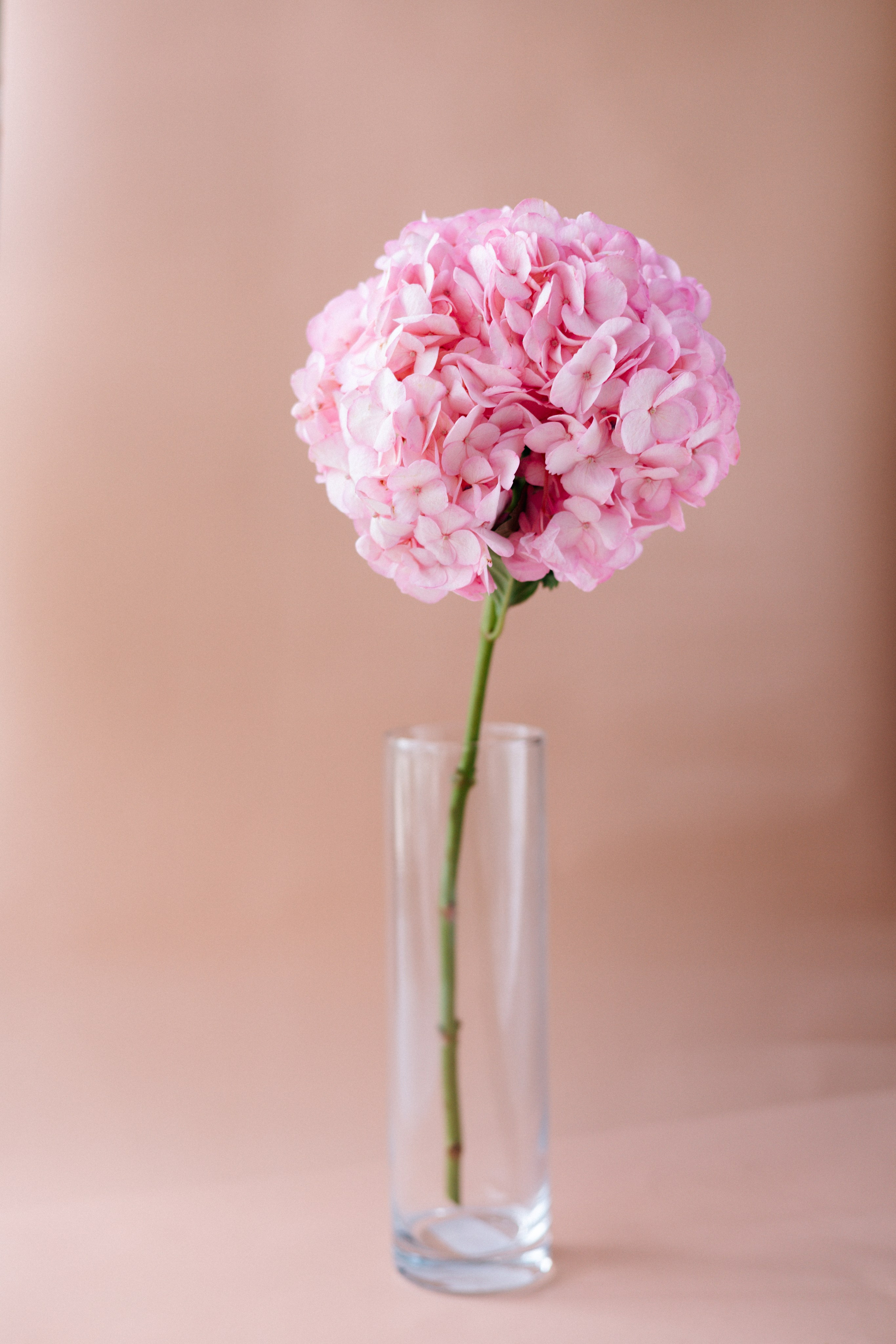 Кейс магазин цветов. Ваш фотограф