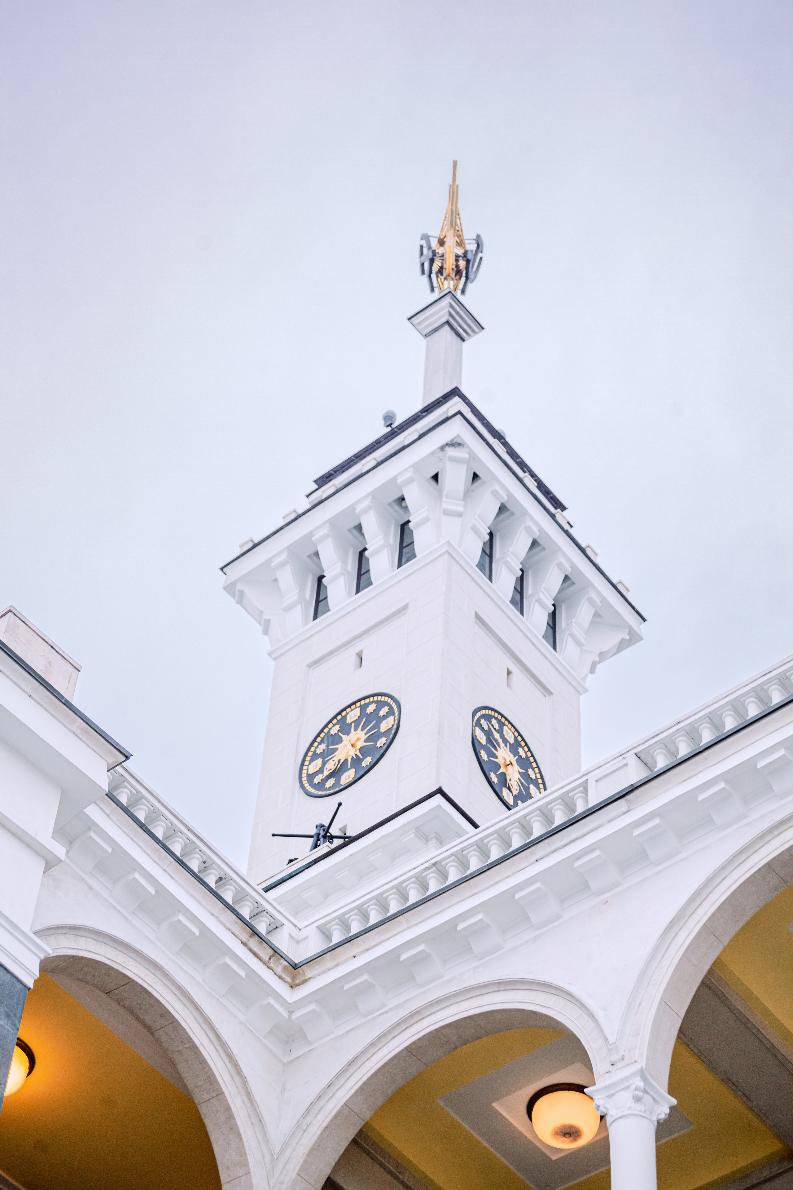 Яков. Фотограф-анималист Татьяна Степанова