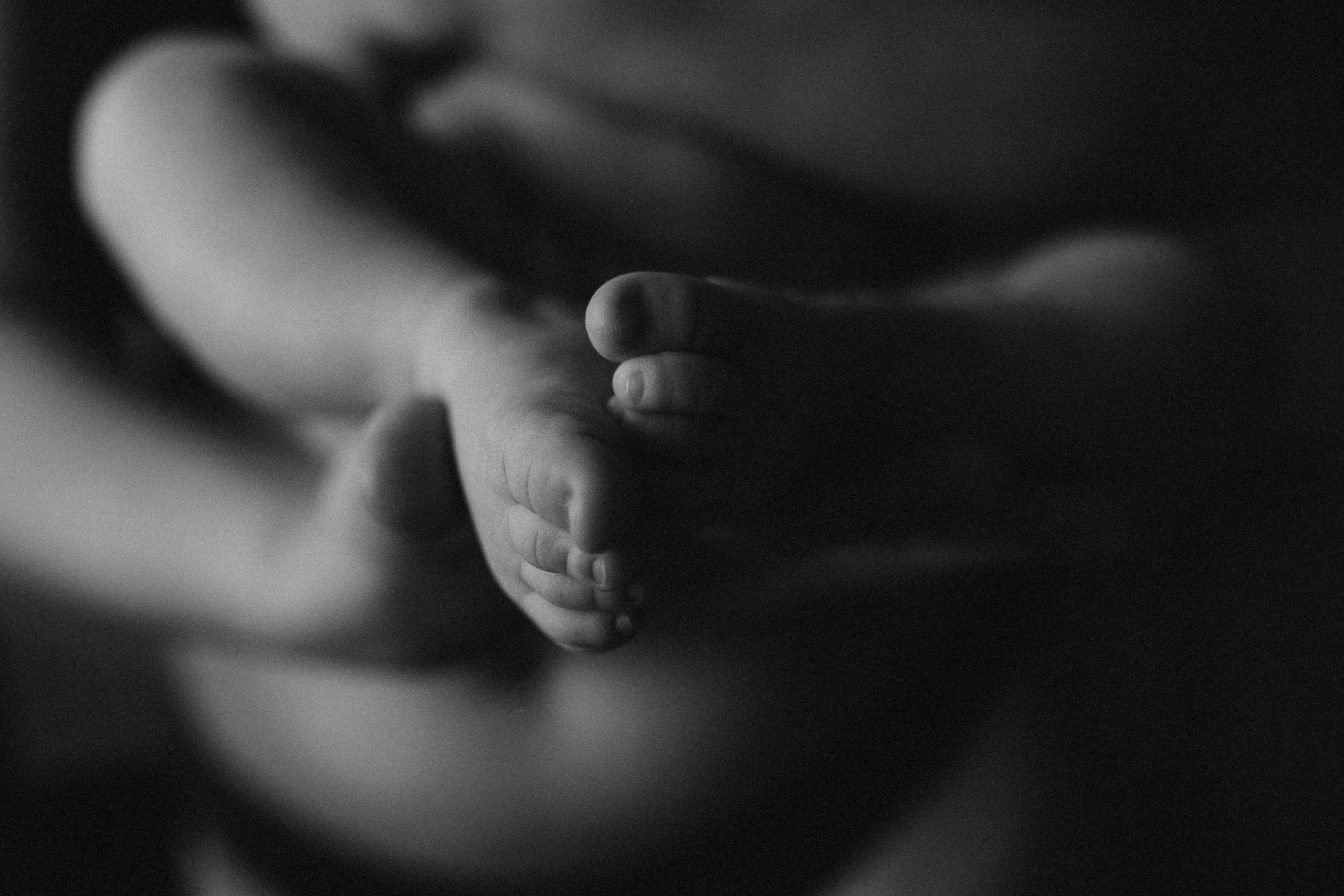 Дана Нелла. Семейный фотограф в Минске и РБ Стеликова Анна