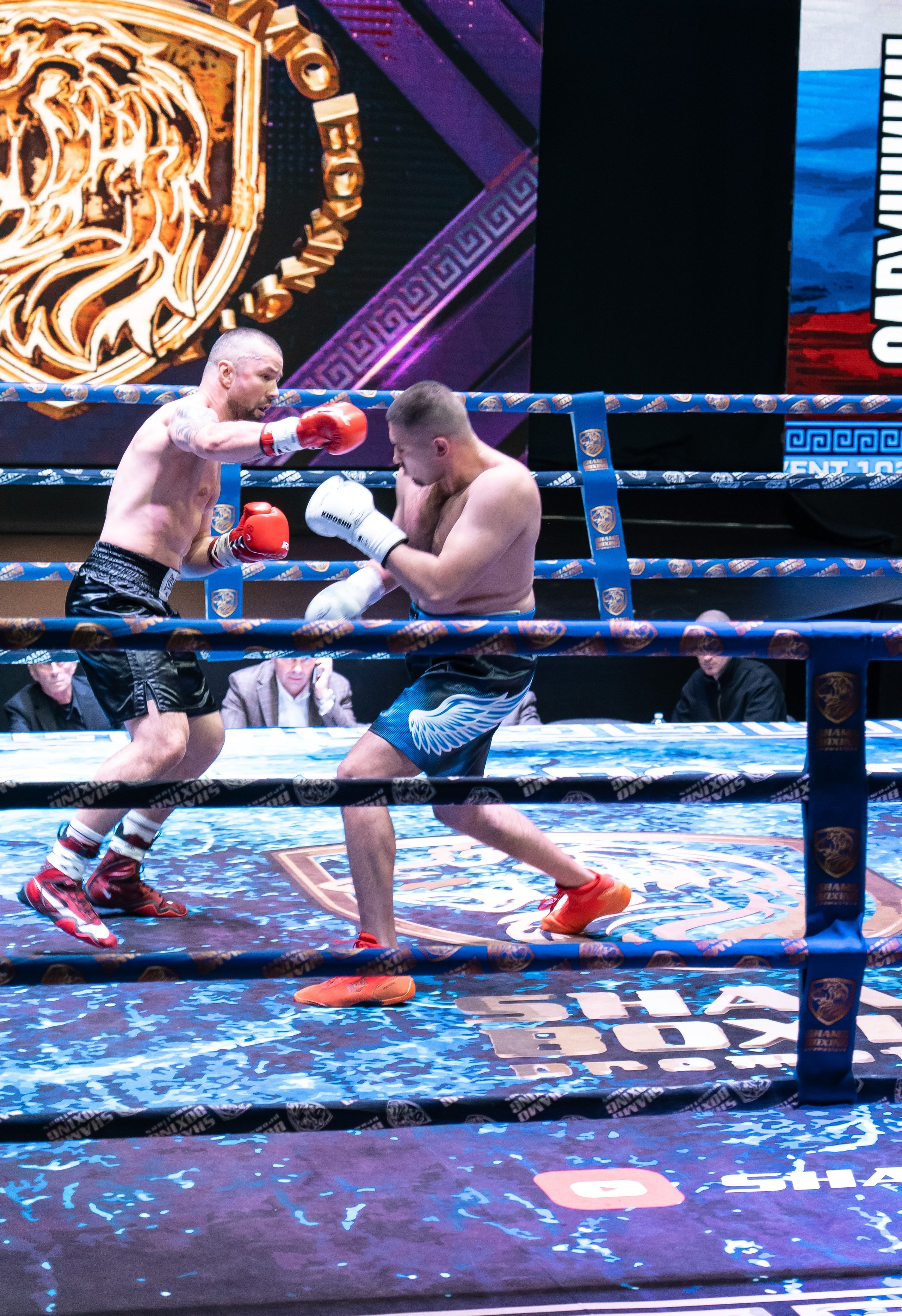 Бокс. Наталия Фролова. Фотограф. Москва