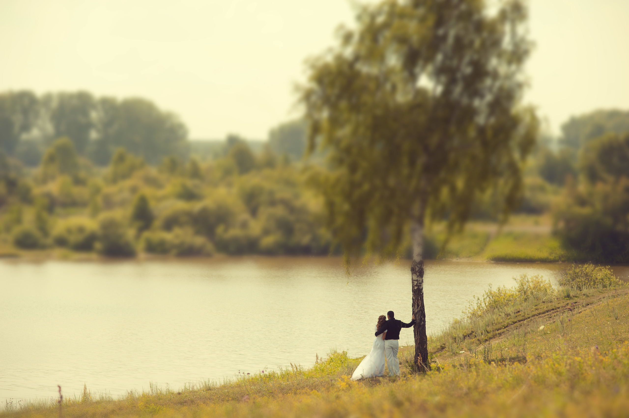 Дмитрий и Анастасия. Семейный и свадебный фотограф в Кемерово Кривцов Алексей