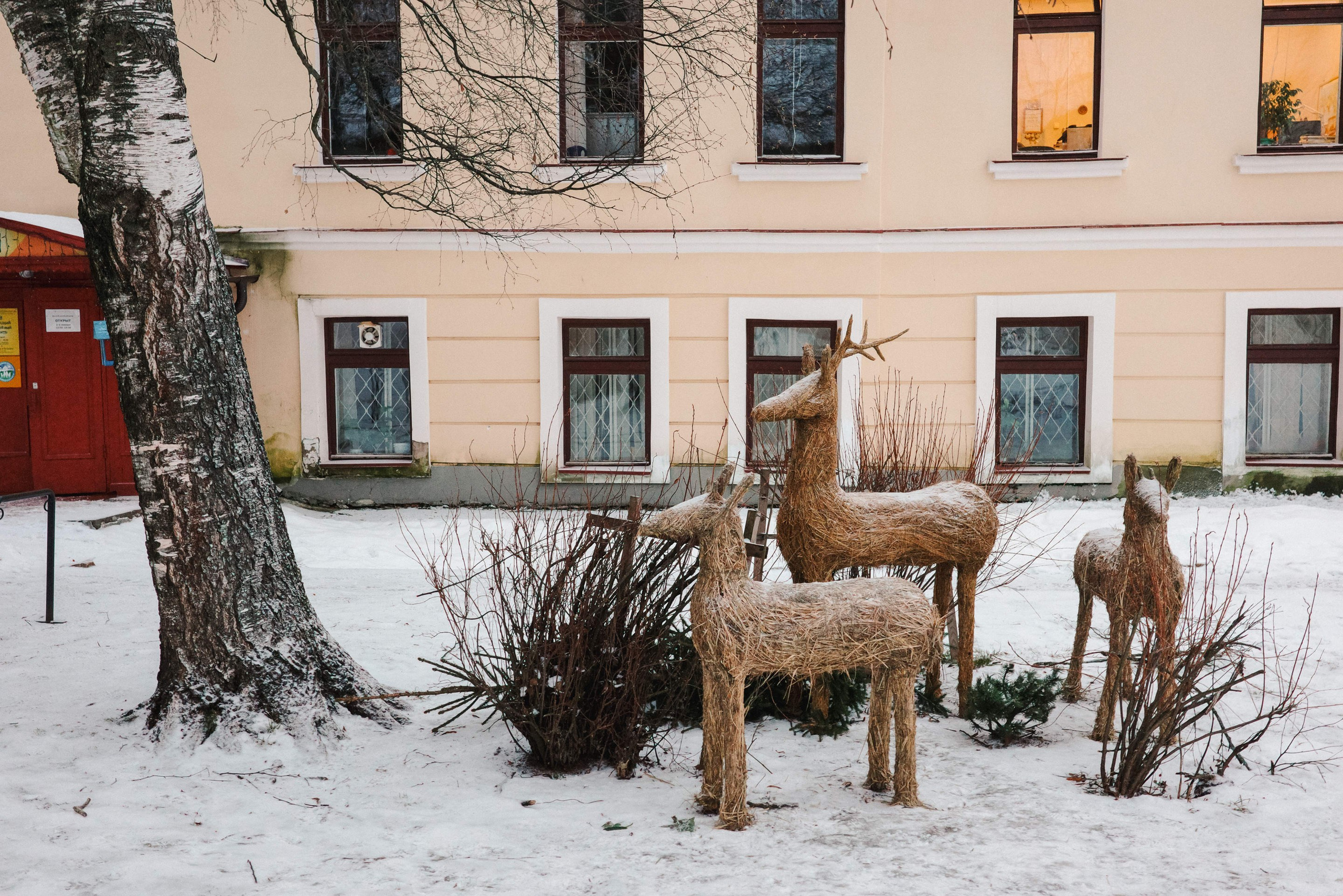 2025.01. Фотограф Алексей Алексеев