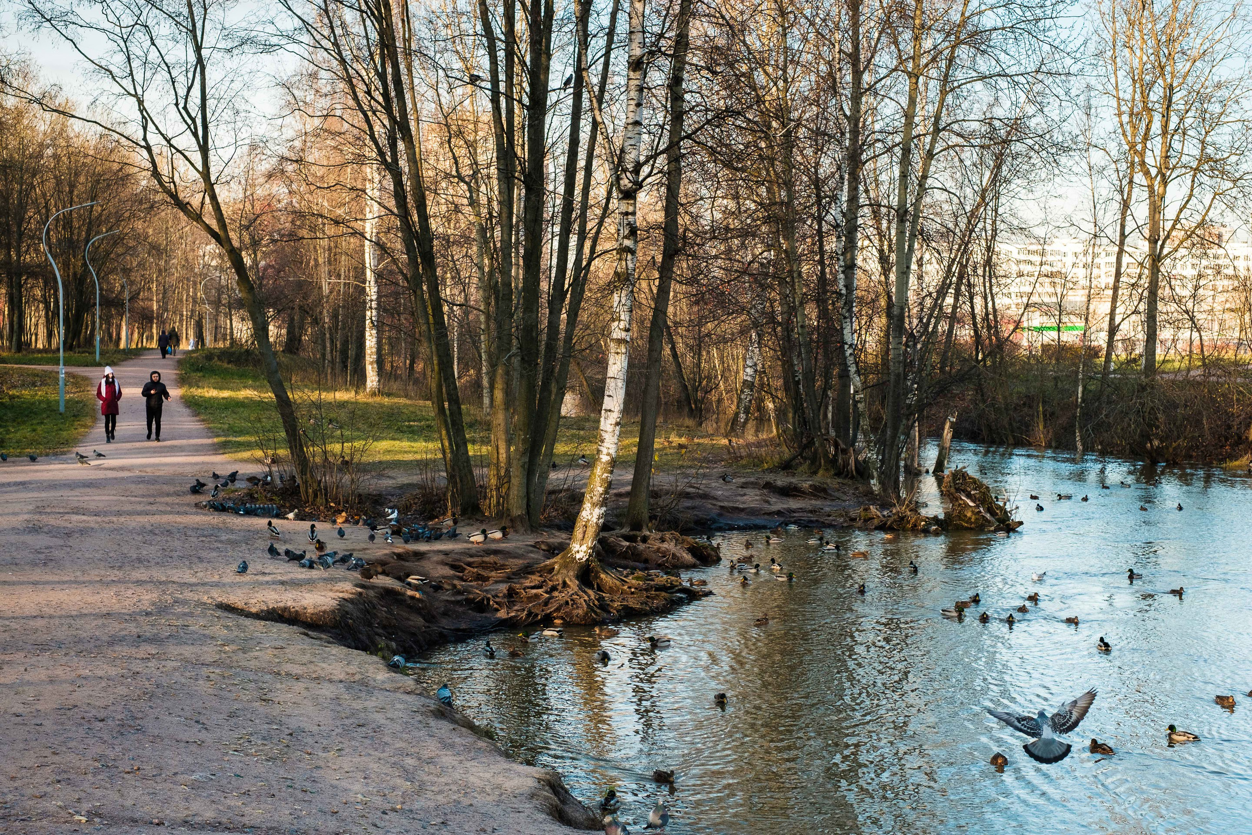 2021.11. Фотограф Алексей Алексеев