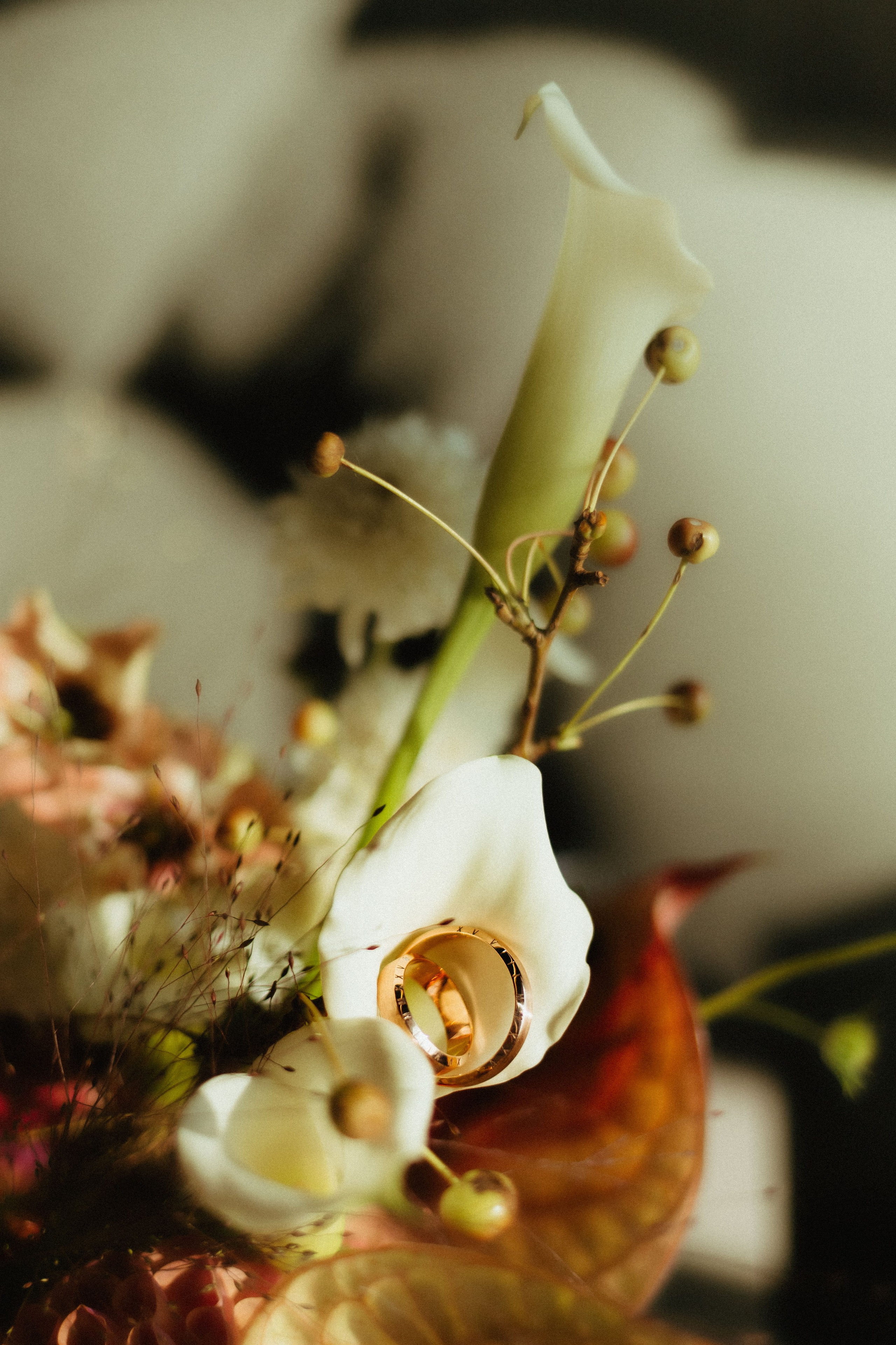 Владимир и Александра. Катерина Аникеева | Фотограф | Екатеринбург