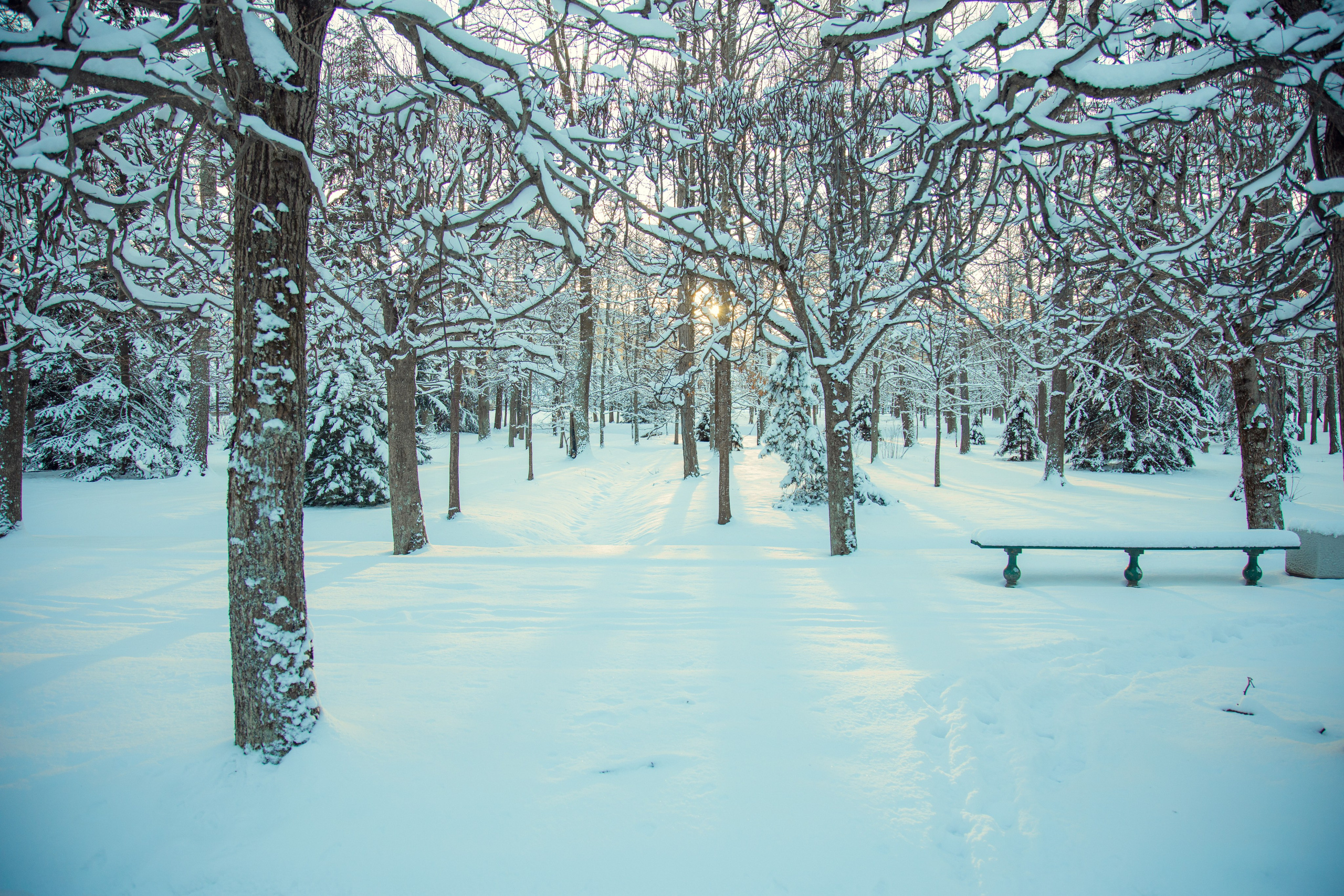 Петергоф нижний парк фото