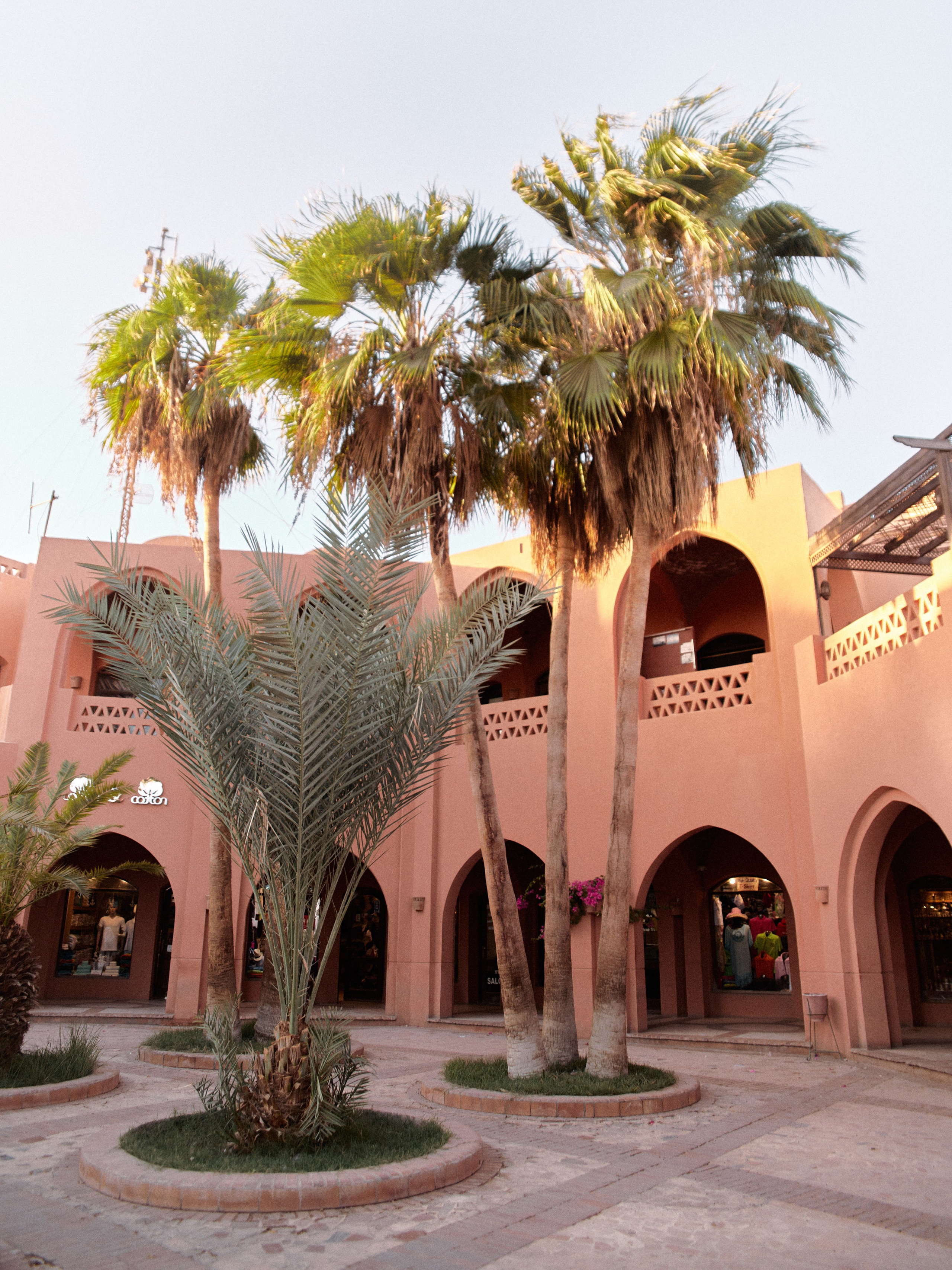 Улицы. Jorgis Talè — photographer, kind person, teacher of arts and other mag