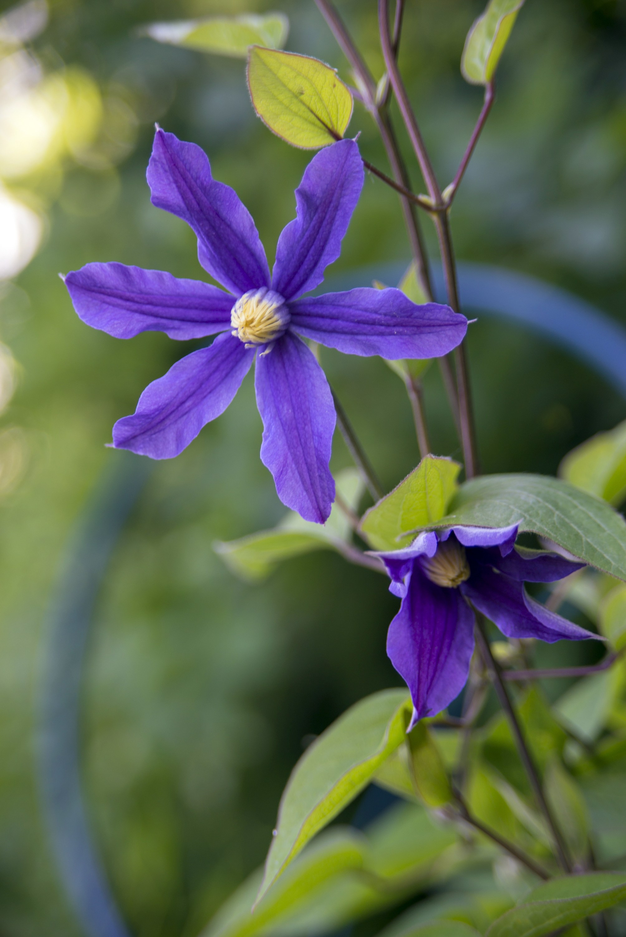 Владимир. Июнь 2019. Игорь Жучков. Россия увиденная глазами путешествующего фотографа