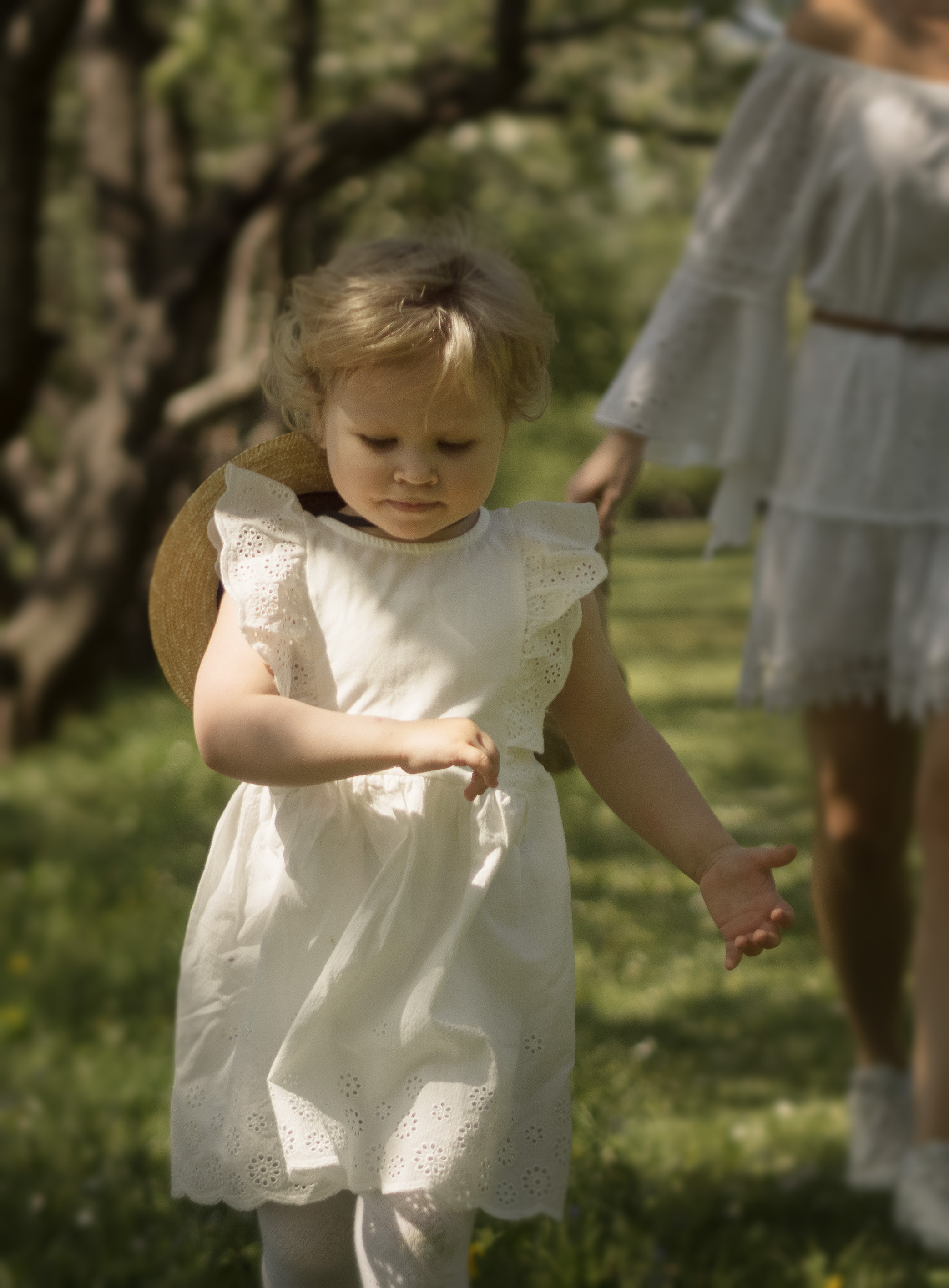 Семейные фотосессии. Семейный видеограф и фотограф