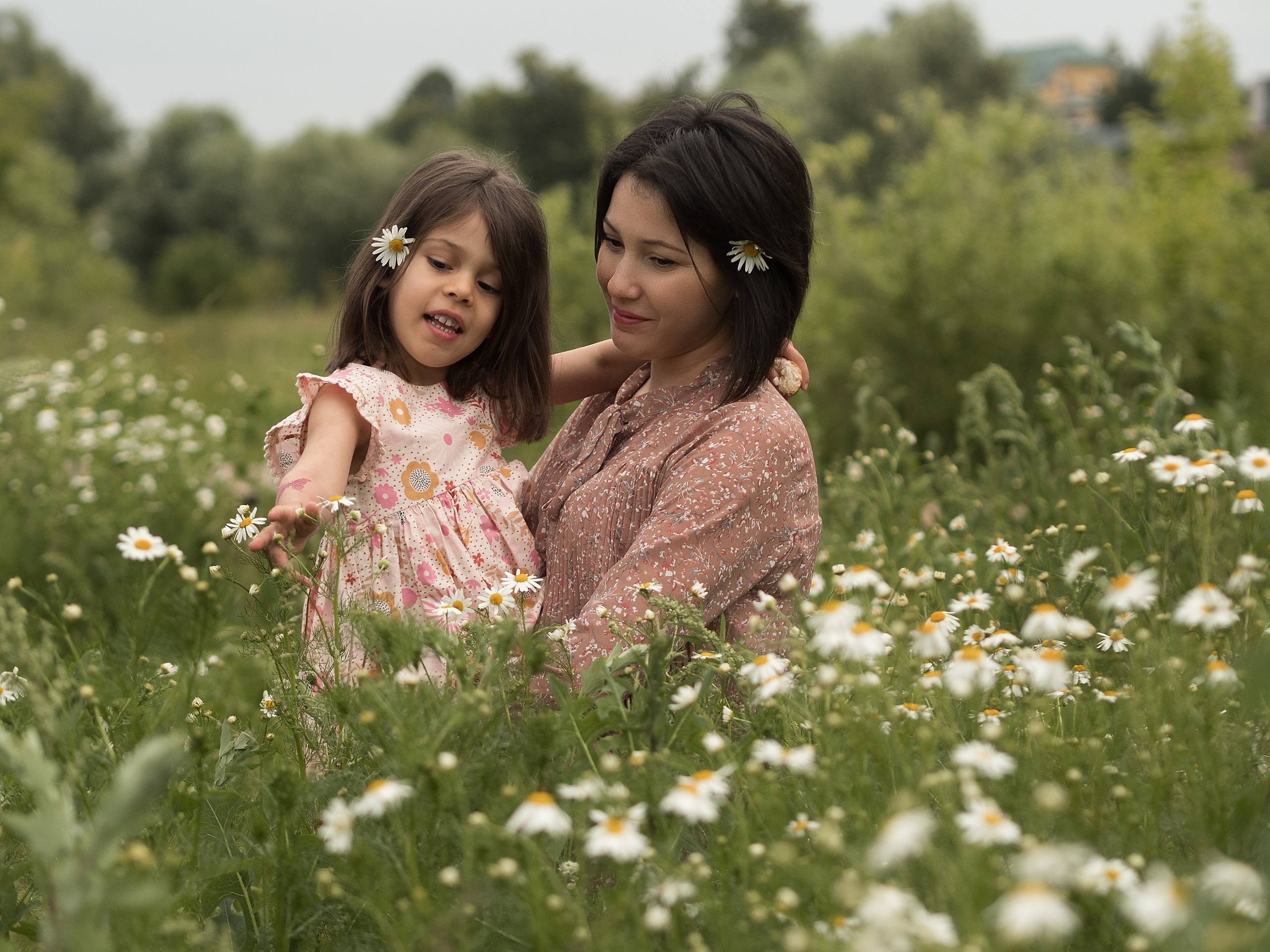 Семейные фотосессии. Семейный видеограф и фотограф