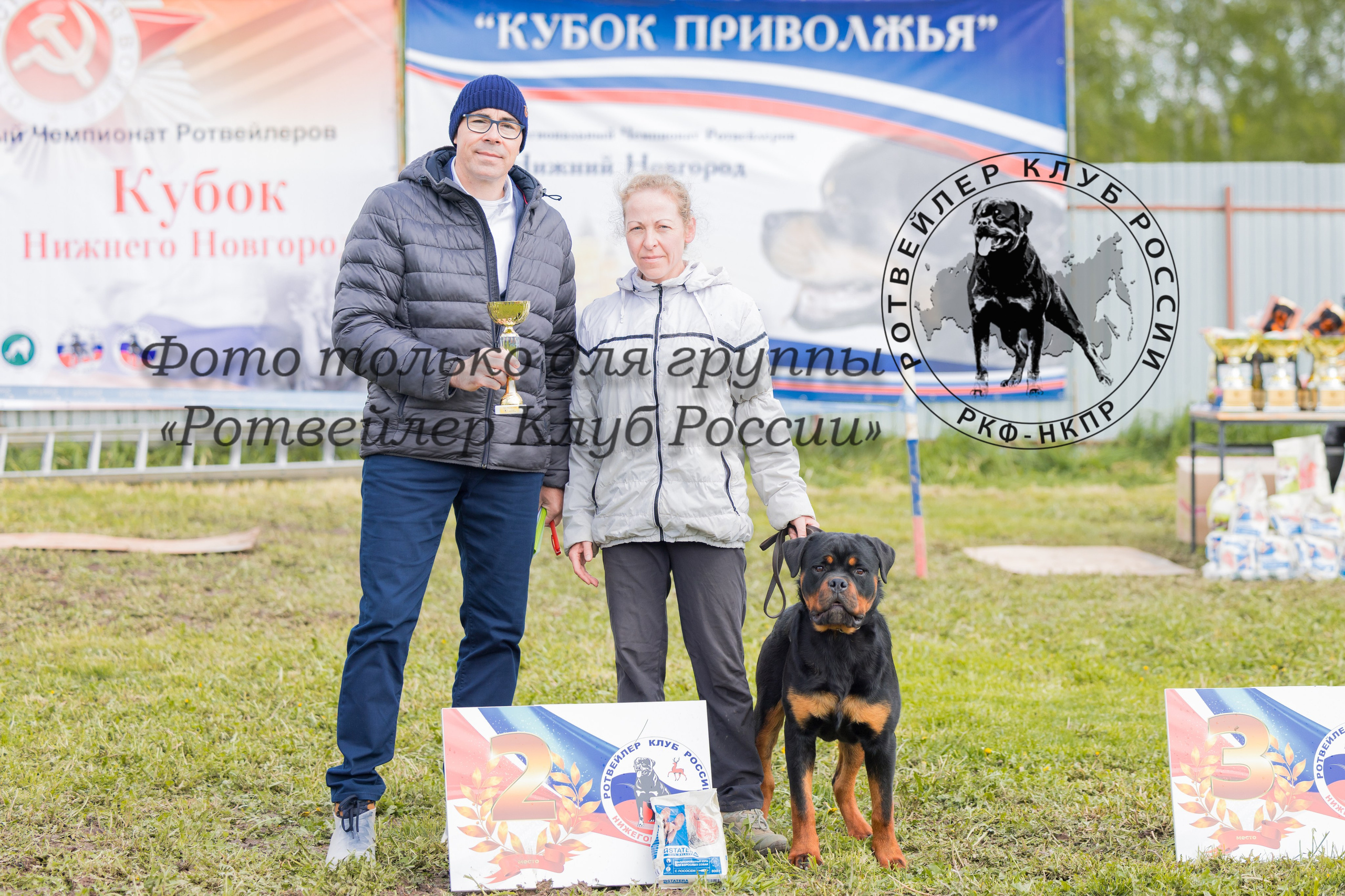 Нижний Новгород 2хмоно ротвейлеров 10-11.05.2025. Фотограф-анималист Юлия Германика