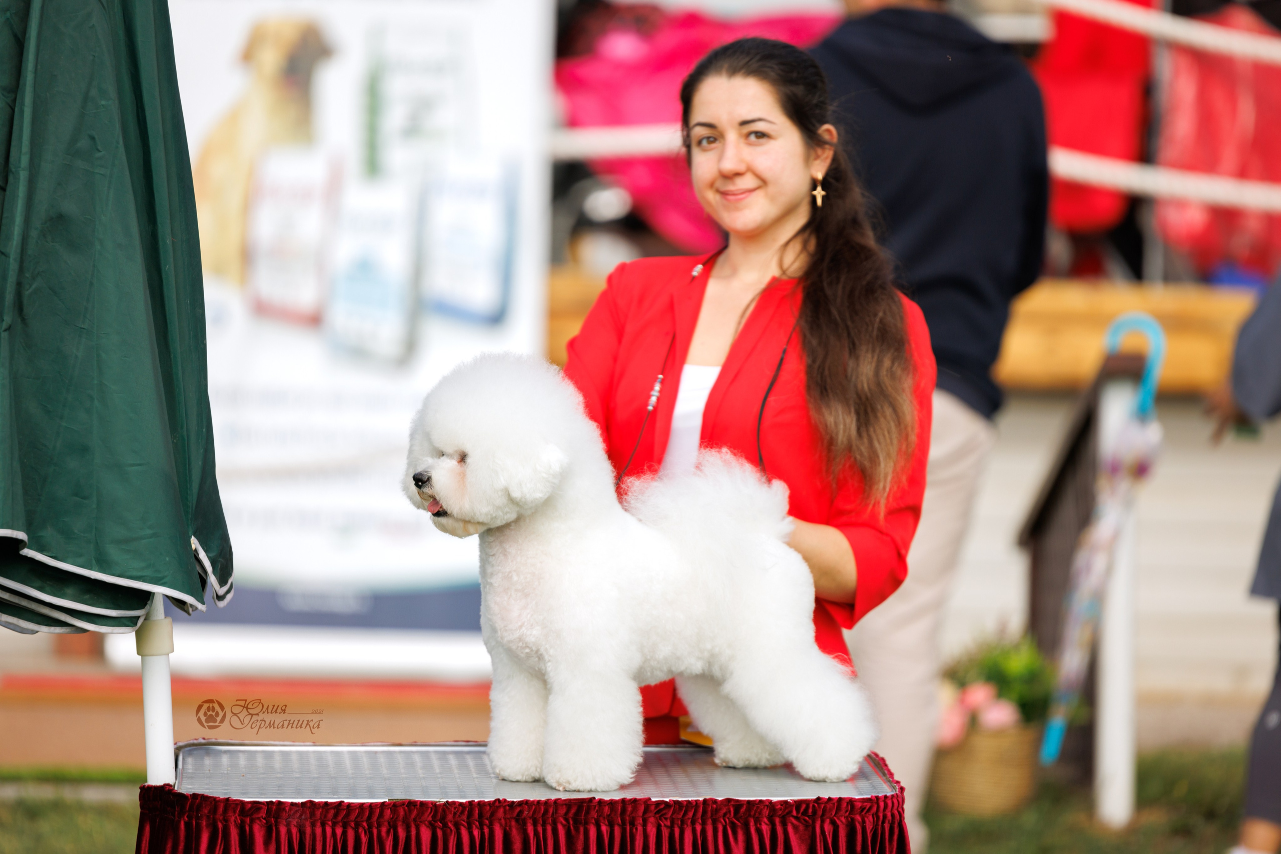 Армения,Ереван 3хCACIB 15-17.10.2024. Фотограф-анималист Юлия Германика