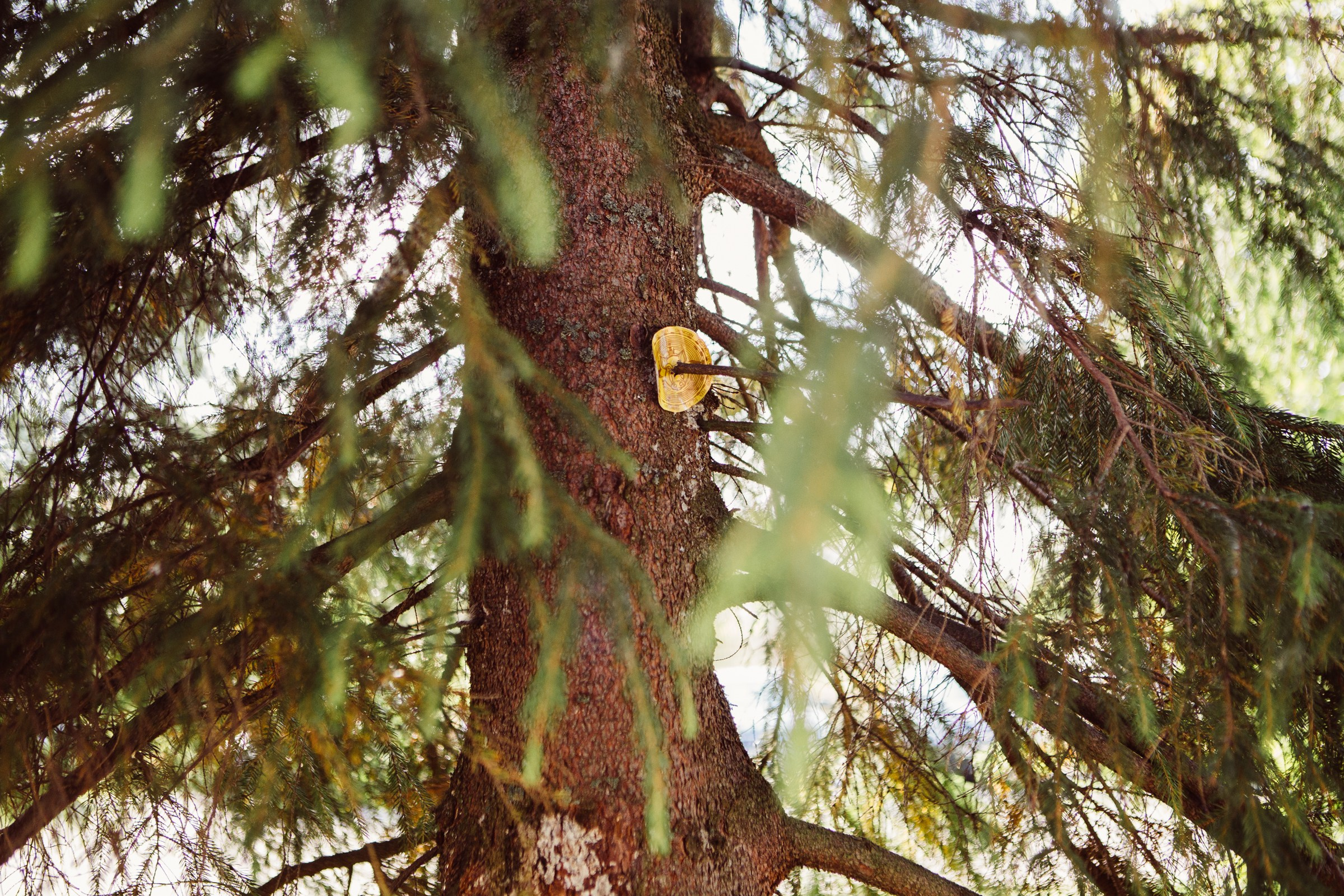 Simbio 15 лет. Главная