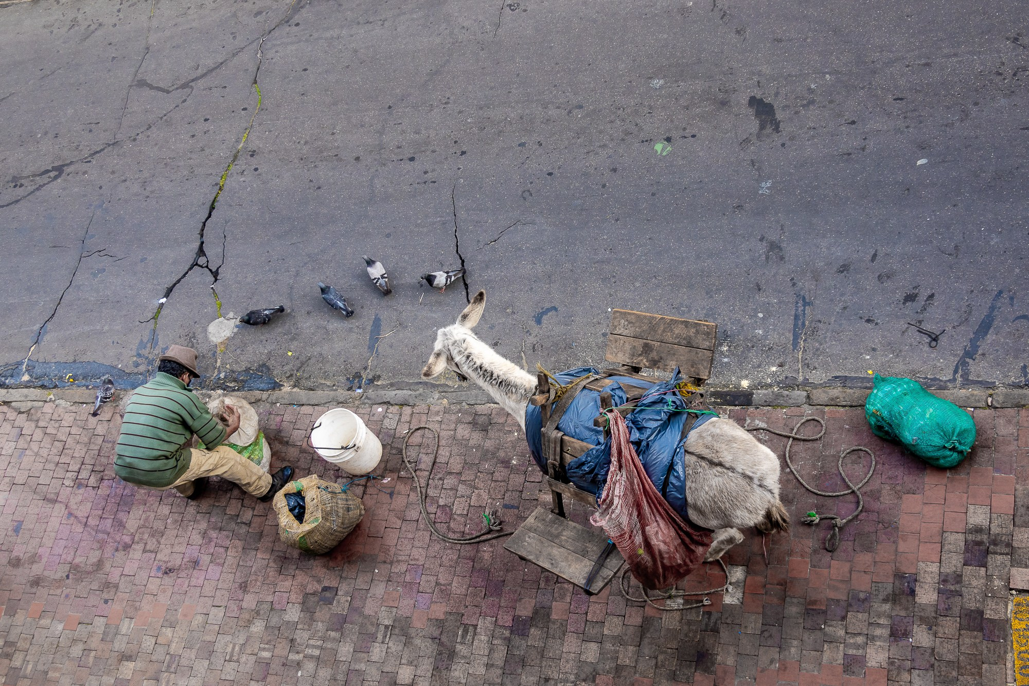 Богота, столица Колумбии. Bogotá, the capital of Colombia. Фотограф Алексей Скоробогатько