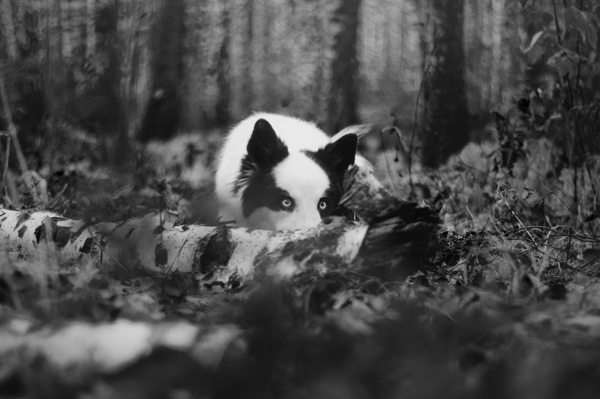 Ликёр. Фотограф в Тюмени Лизавета Сапицкая