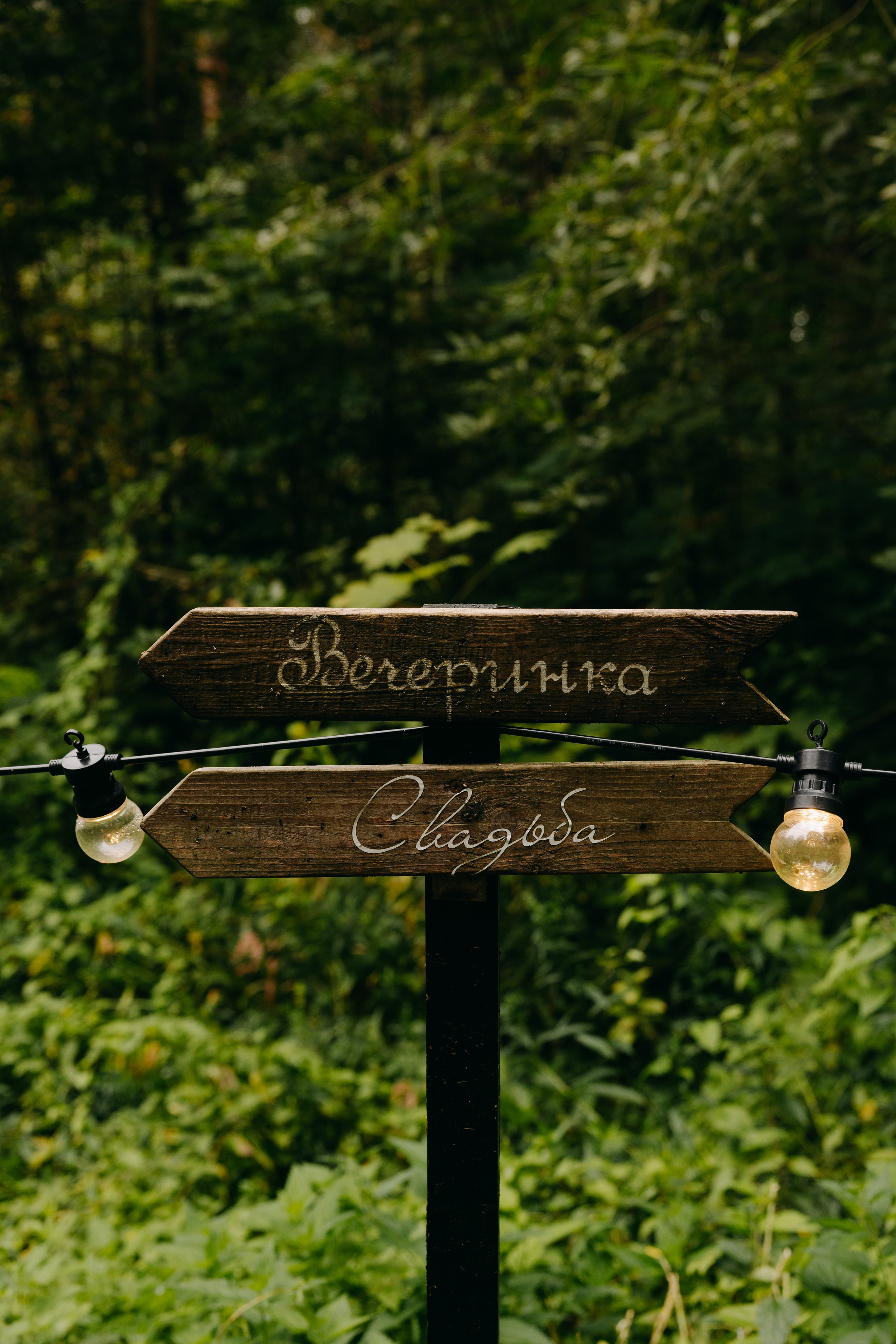 Ирина и Алексей | банкет Forest Dew. Свадебный фотограф Москва Анастасия Храмова