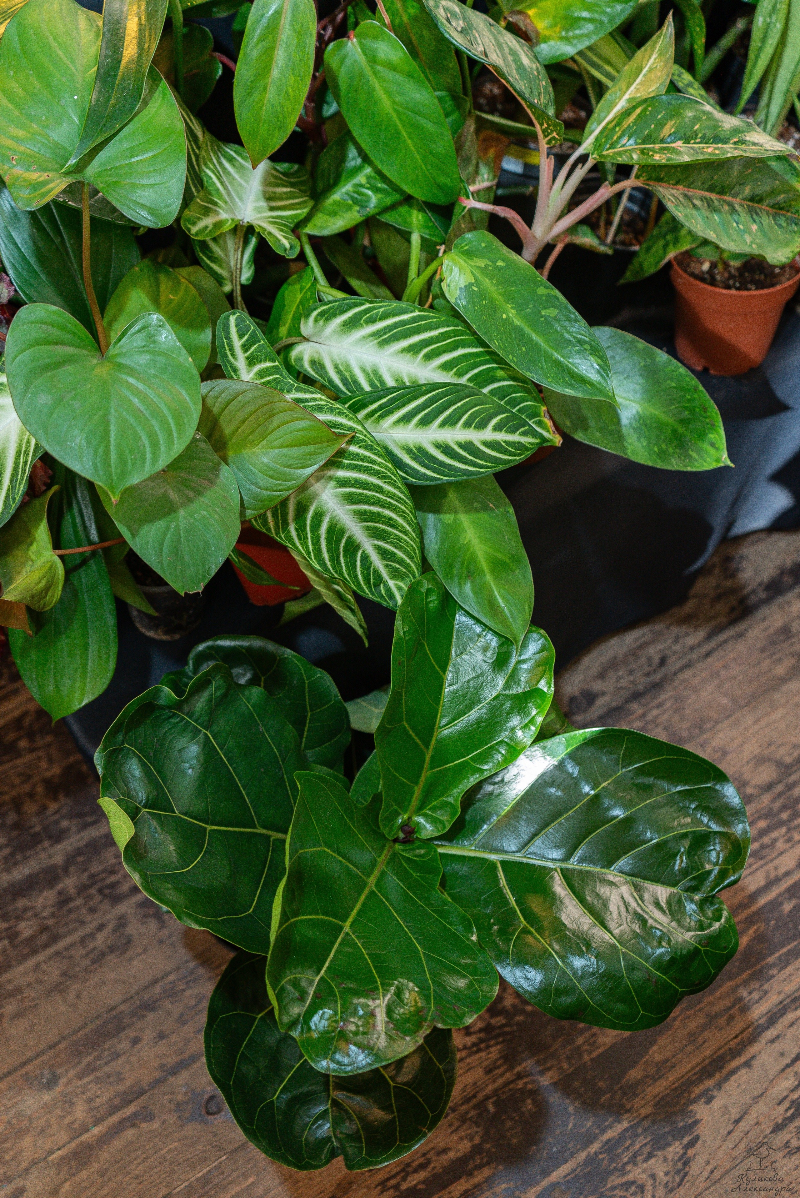 Гроубокс Артплей апрель. Александра Куликова фотограф, Москва