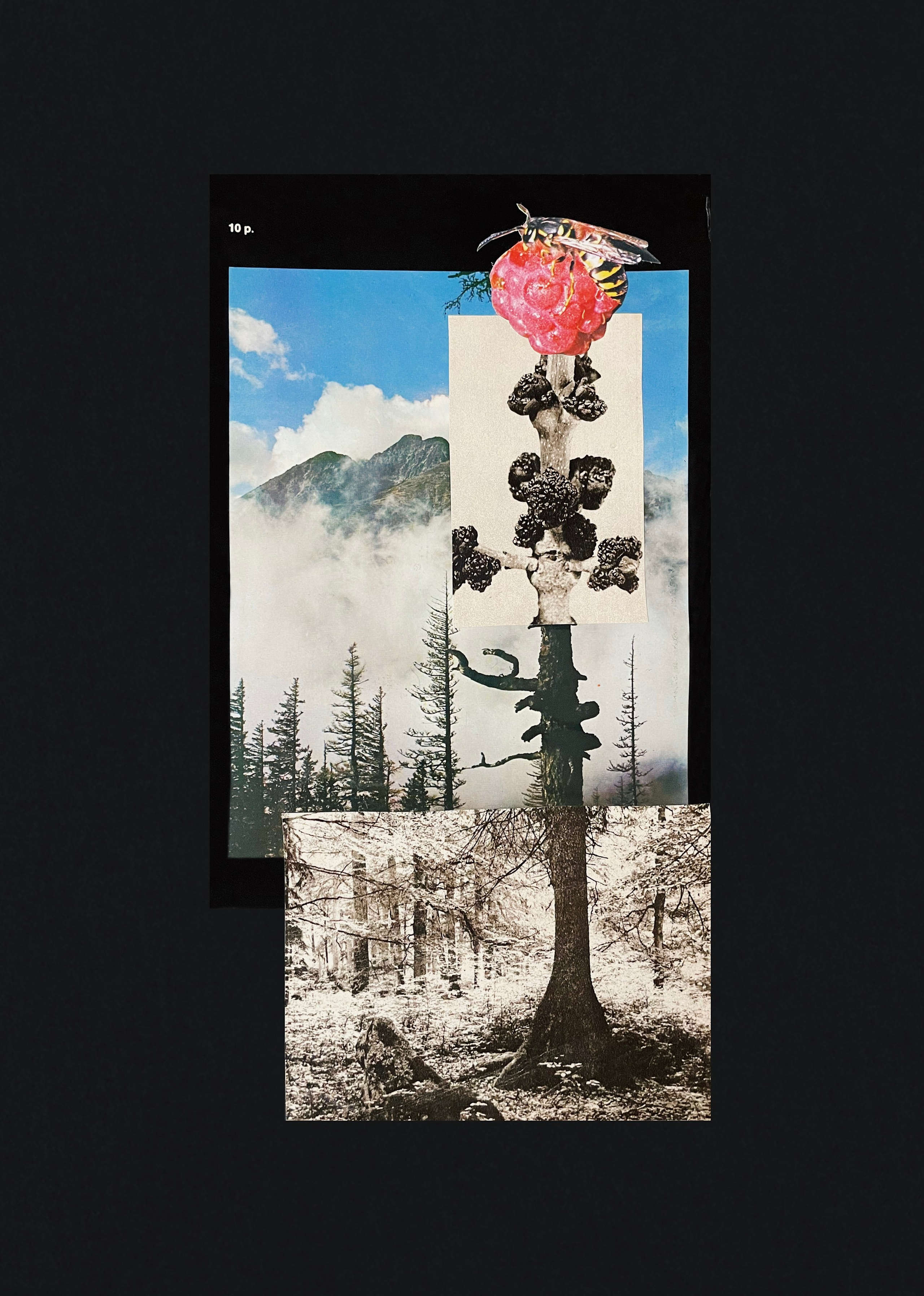 Мои работы. Фотограф и коллажист Ольга Шереметьева