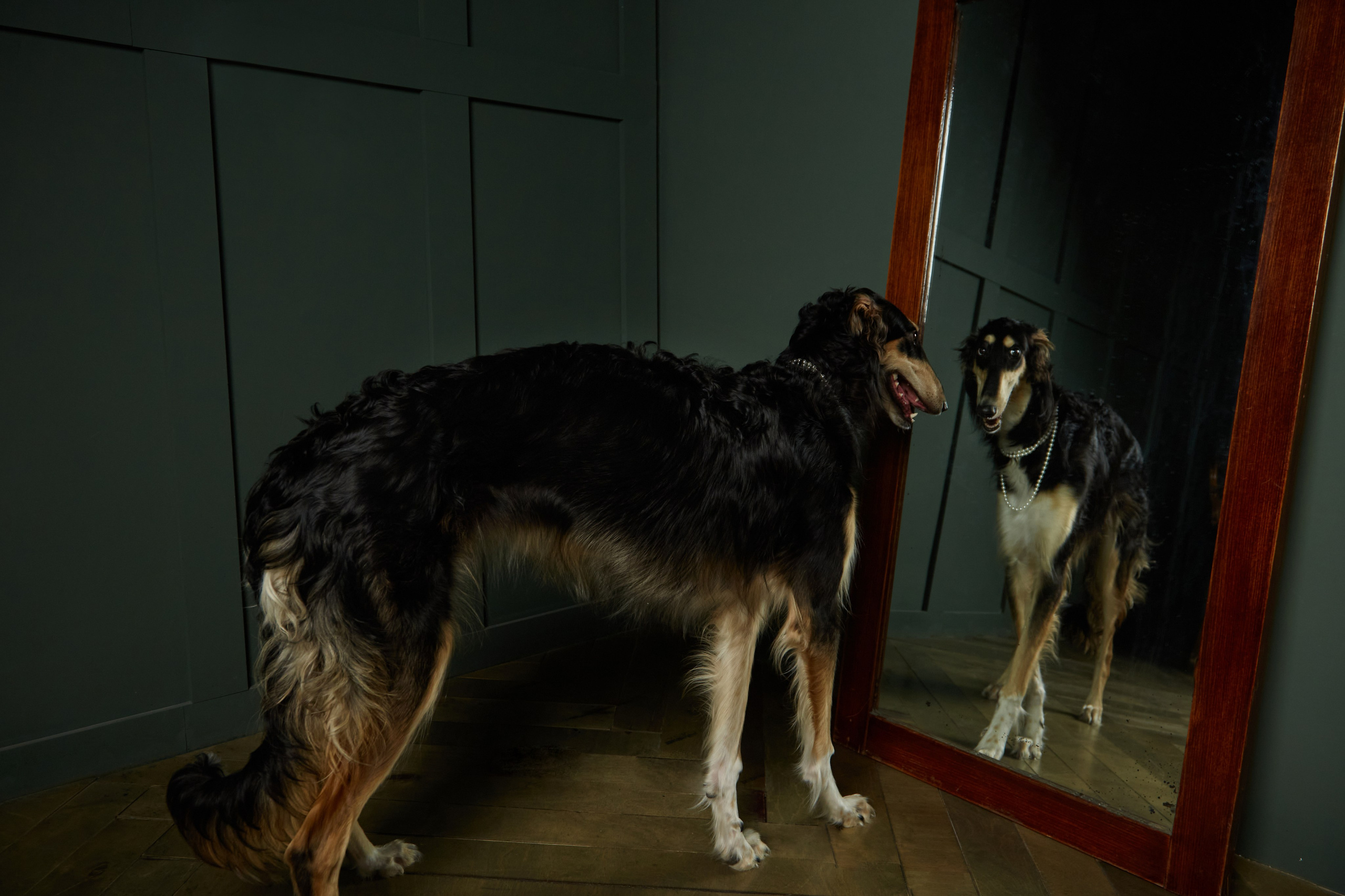 Портретные фотографии и контент съемки для экспертов. Портретный фотограф в Москве Купцова Юлия