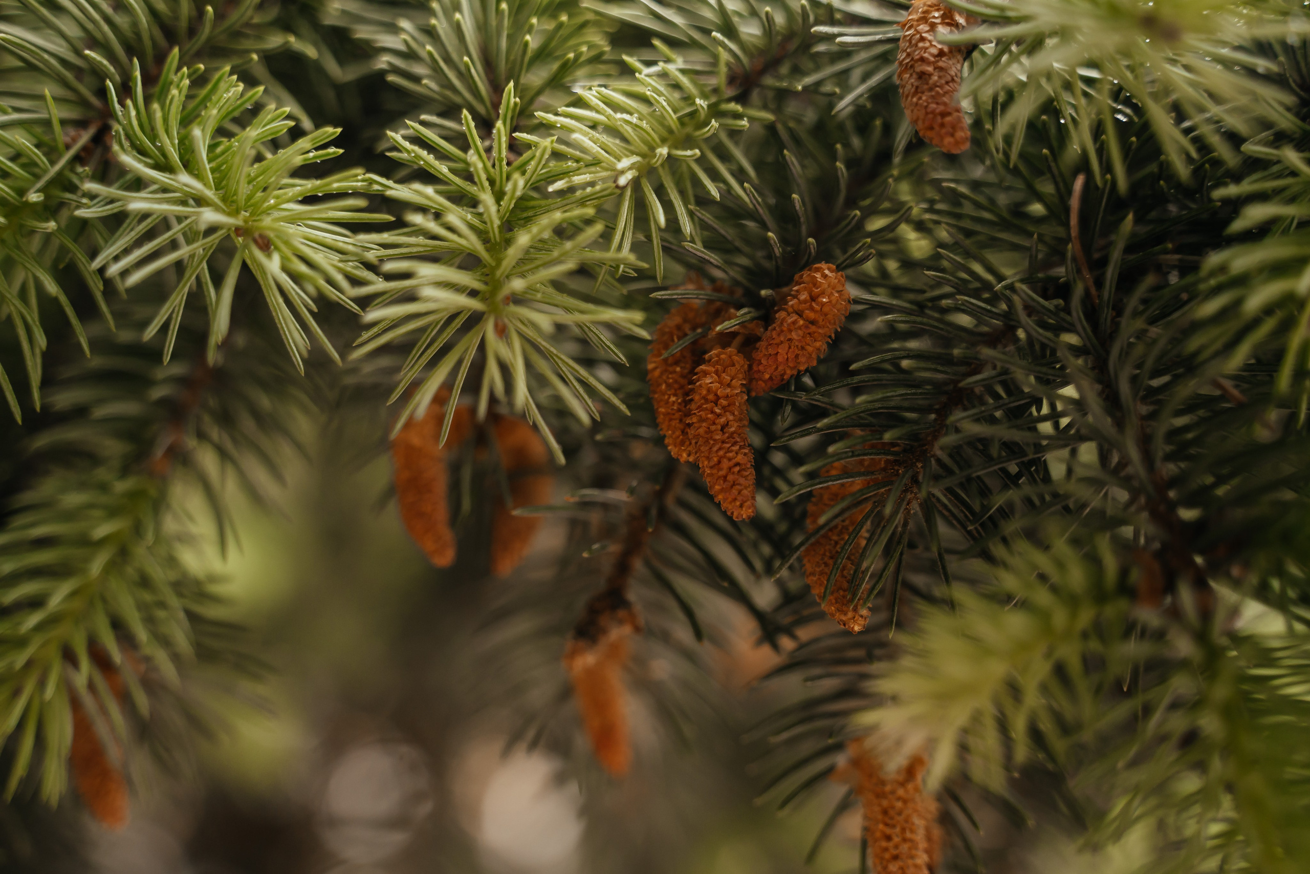 Фотомедитация с Марией Гулыниной. Контент-фотограф в Нижнем Новгороде Антошина Ольга
