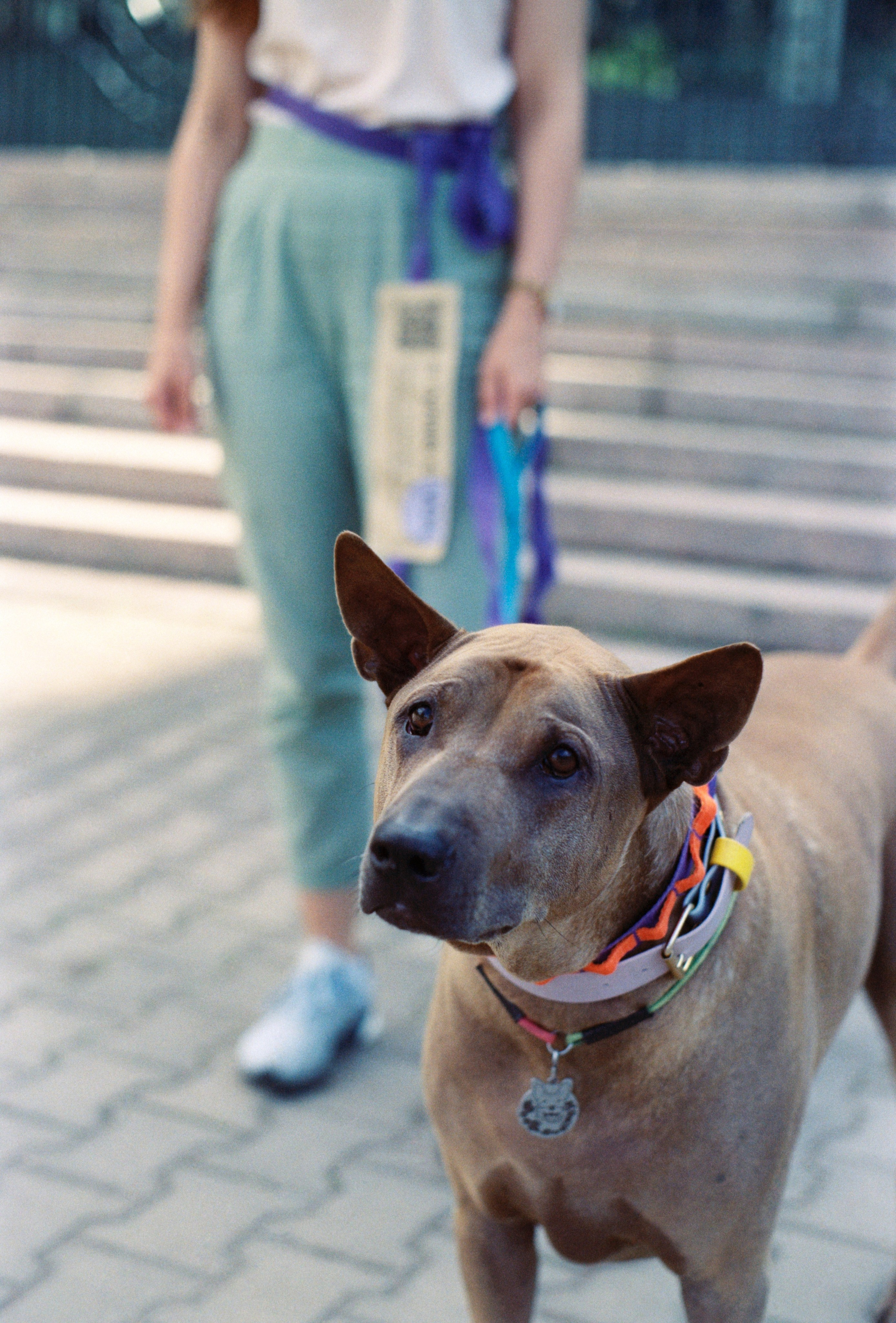VOX. Стилист и плёночный фотограф Анастасия Шлокова в Санкт-Петербурге и Москве