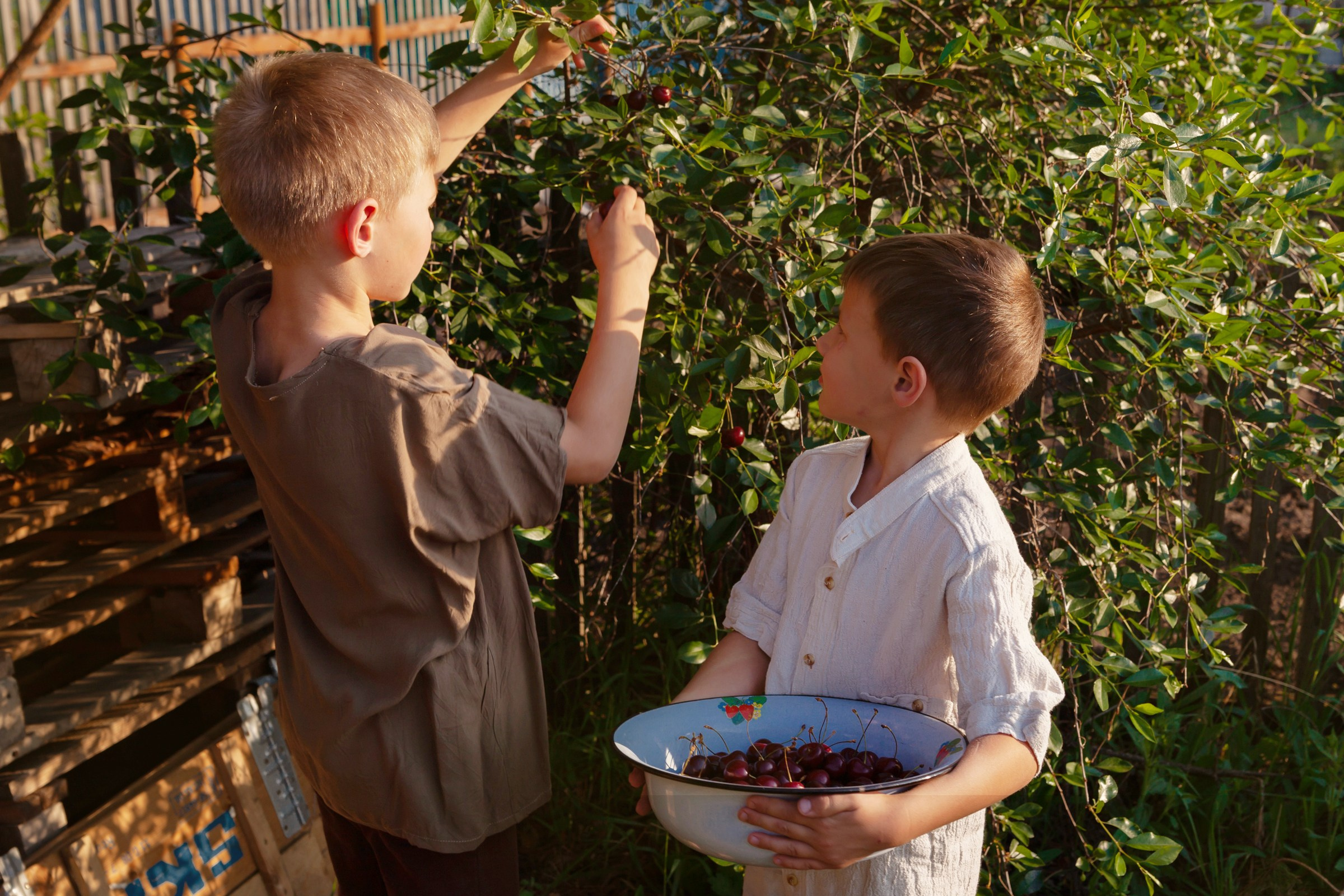 Лето в деревне. Детский и семейный фотограф в Бердске и Новосибирске Дарья Гребнева
