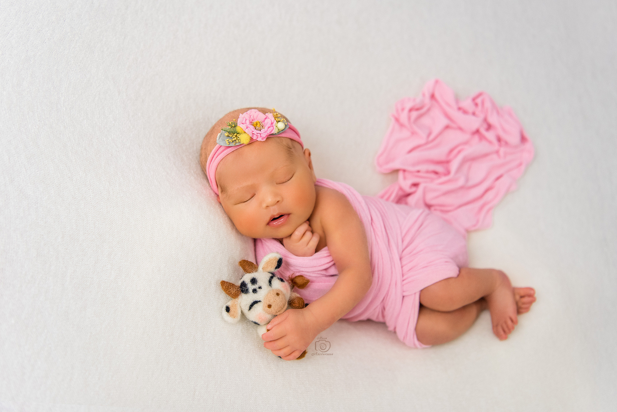 Портфолио новорожденных. Фотограф в Нефтеюганске Мила Аксёнкина