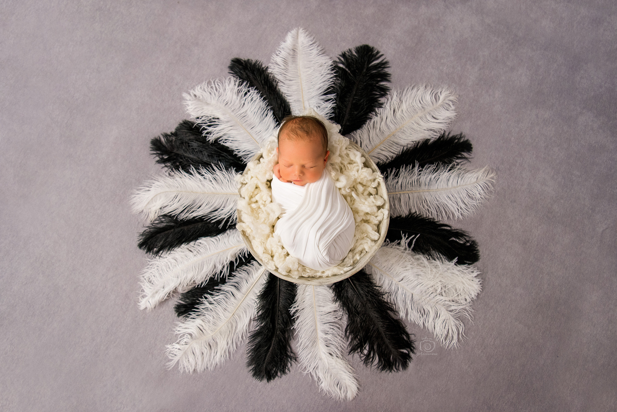 Портфолио новорожденных. Фотограф в Нефтеюганске Мила Аксёнкина