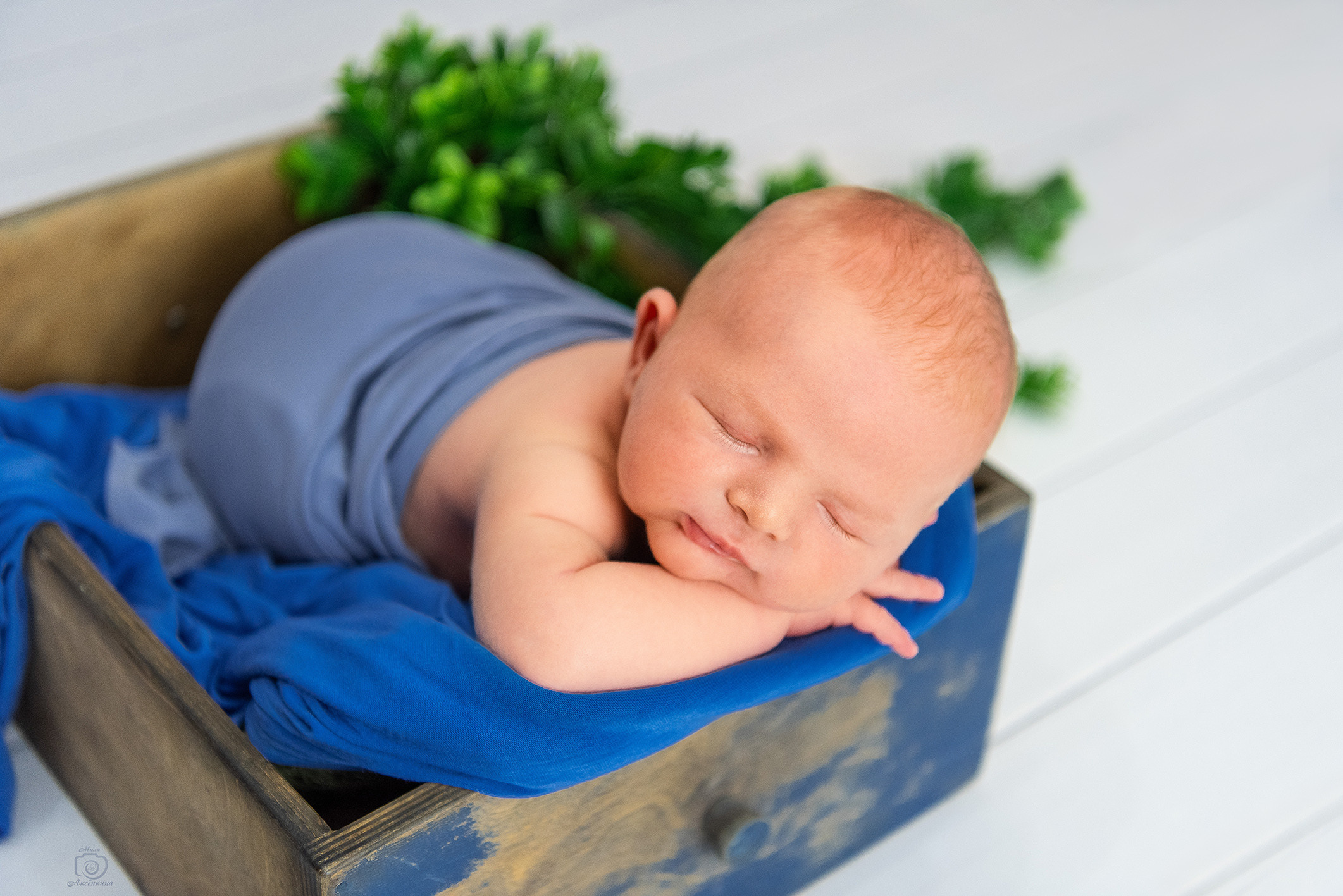 Портфолио новорожденных. Фотограф в Нефтеюганске Мила Аксёнкина