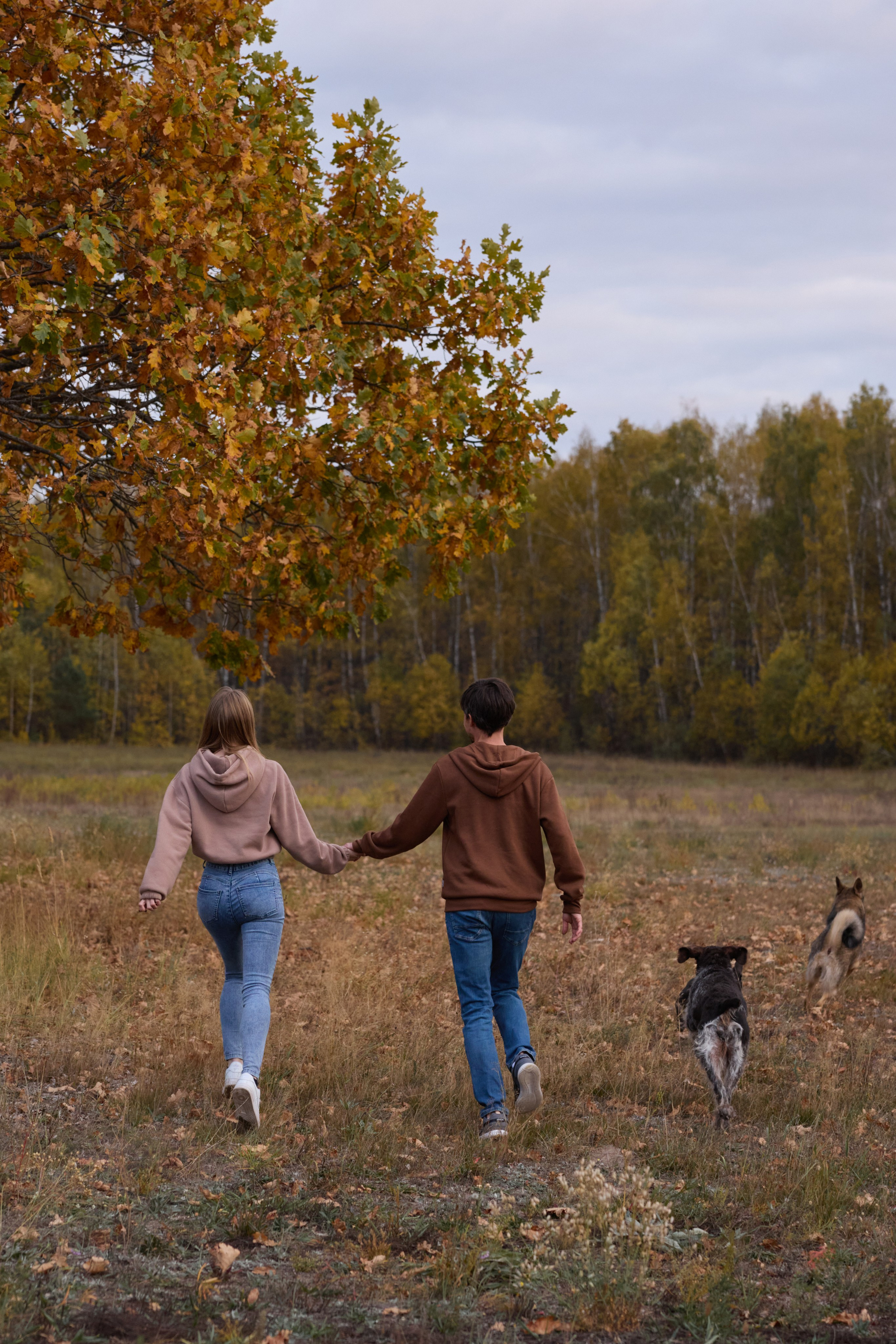 Семейная история. Фотограф анималист в Казани Алина Сулейманова. Фотограф животных