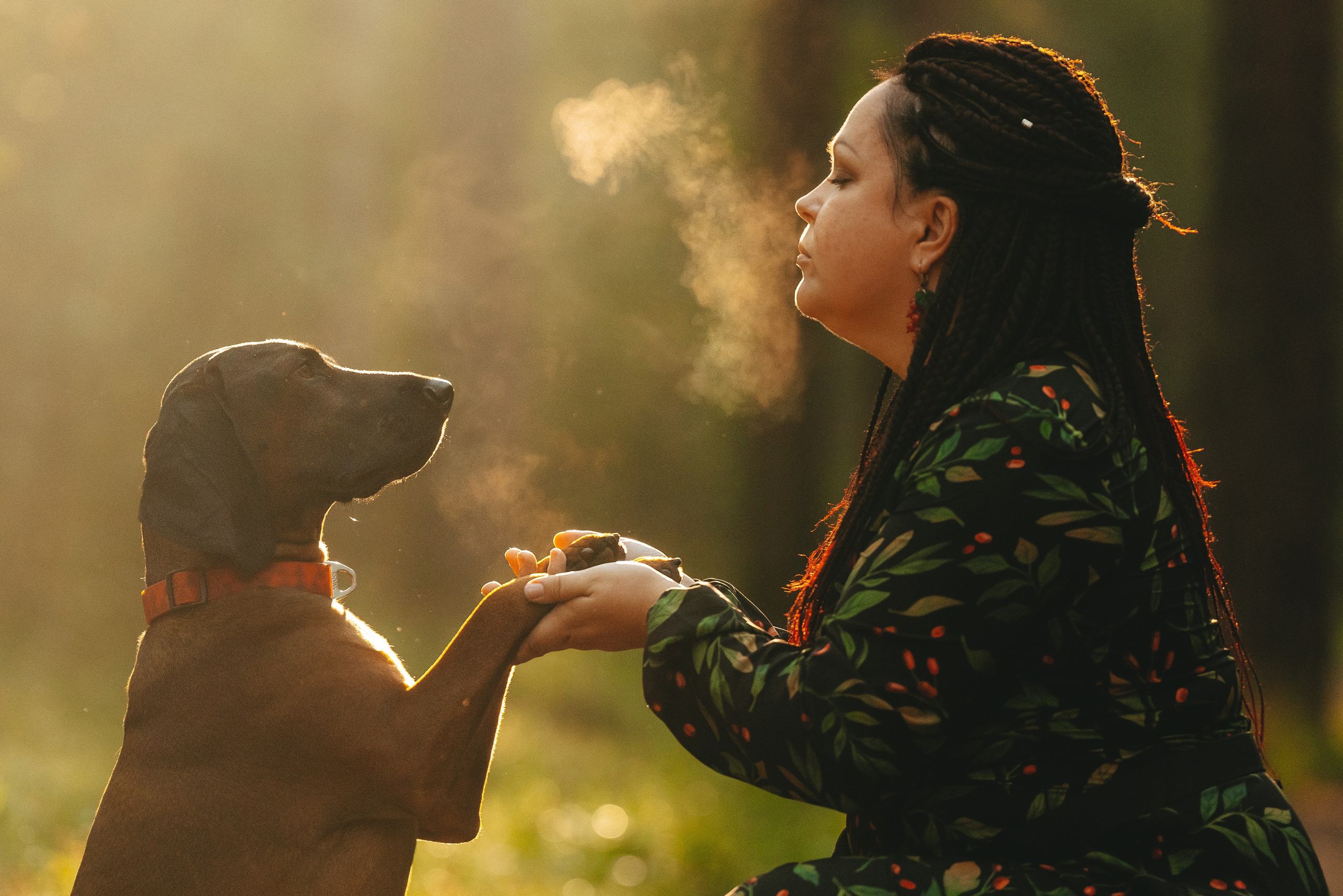 Ольга, Рора и Румпель. Фотограф анималист в Спб недорого Олеся Майорова