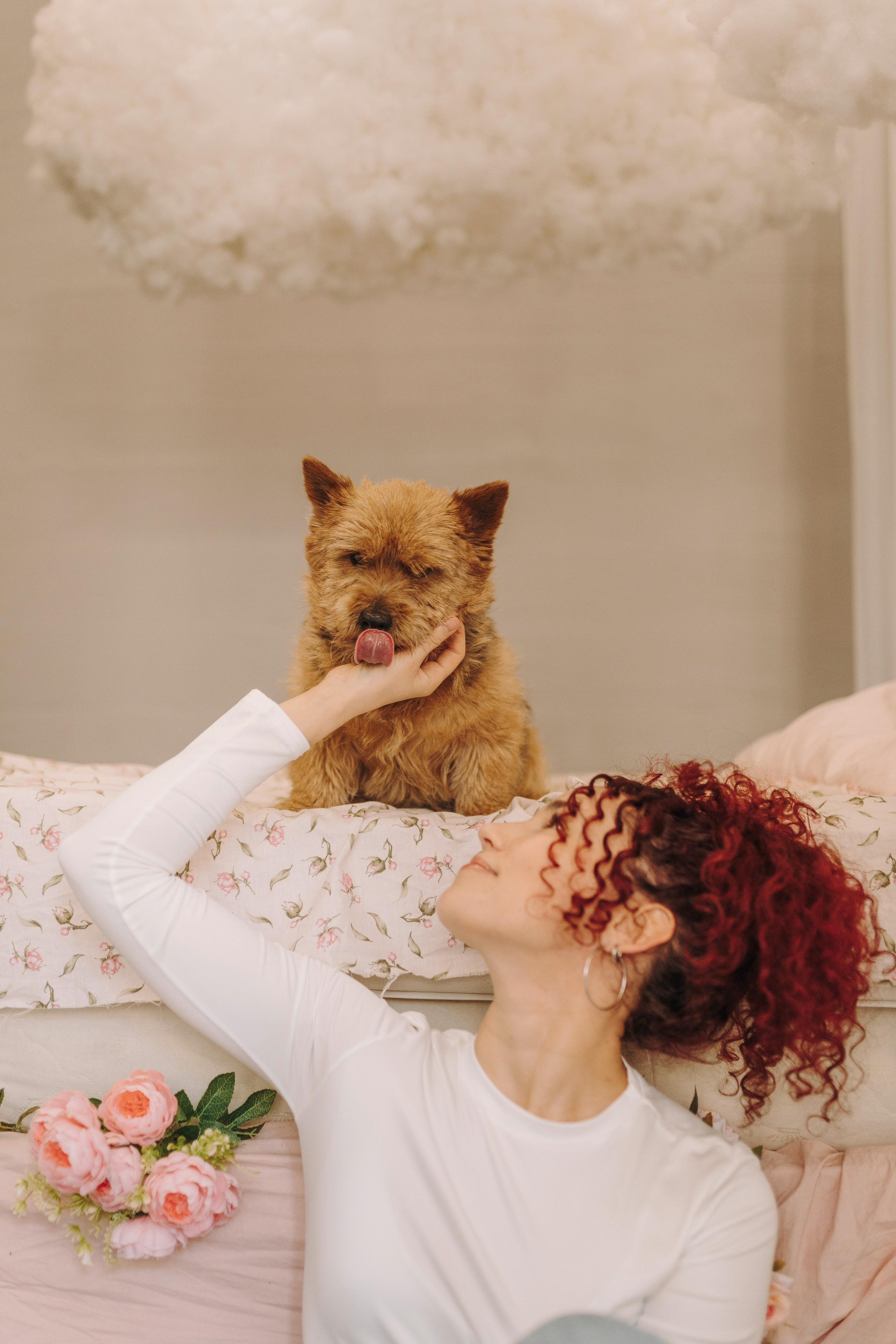 Маша и Рамси. Фотограф анималист в Спб недорого Олеся Майорова