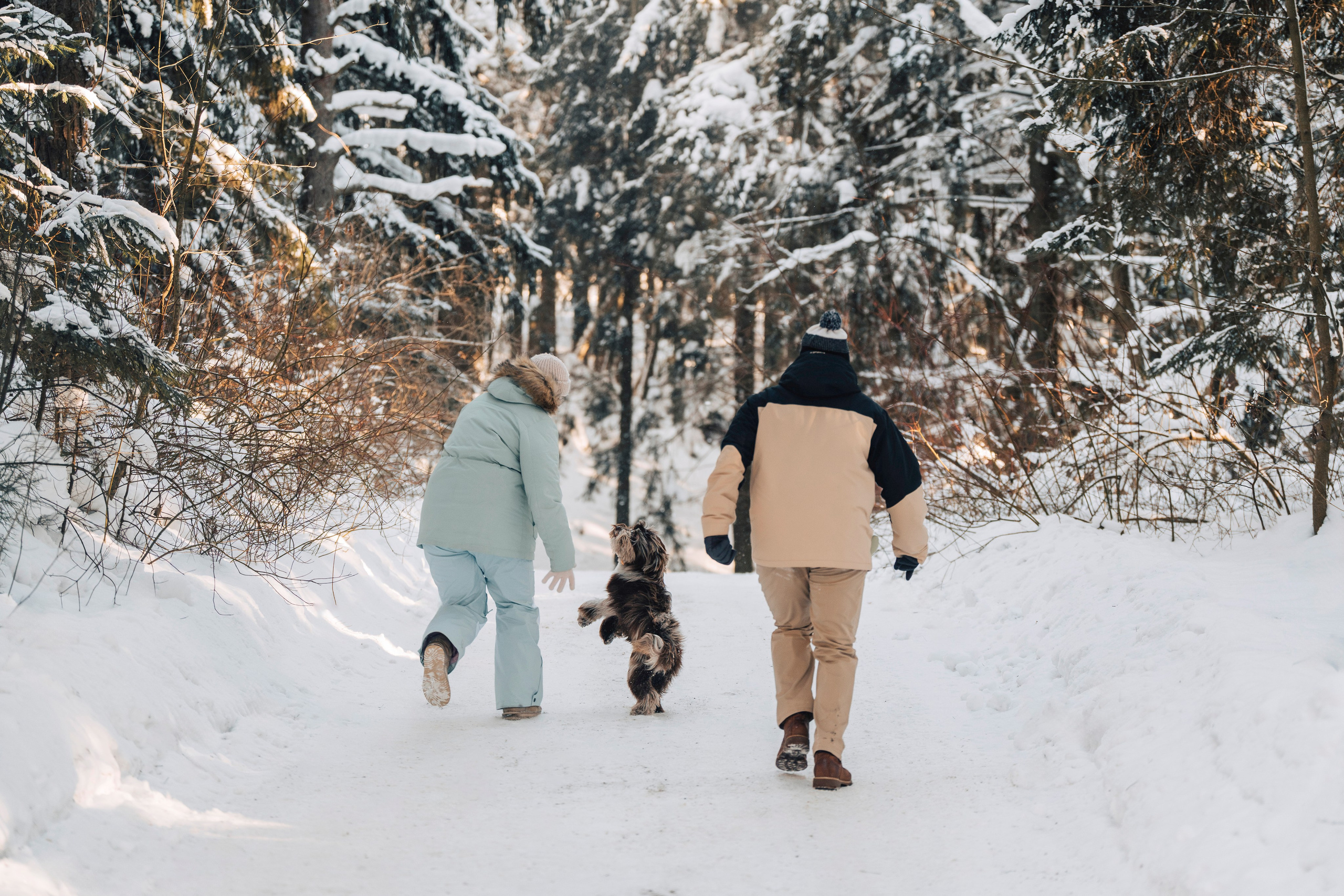 Хэйзел и её семья. Фотограф анималист в Спб недорого Олеся Майорова