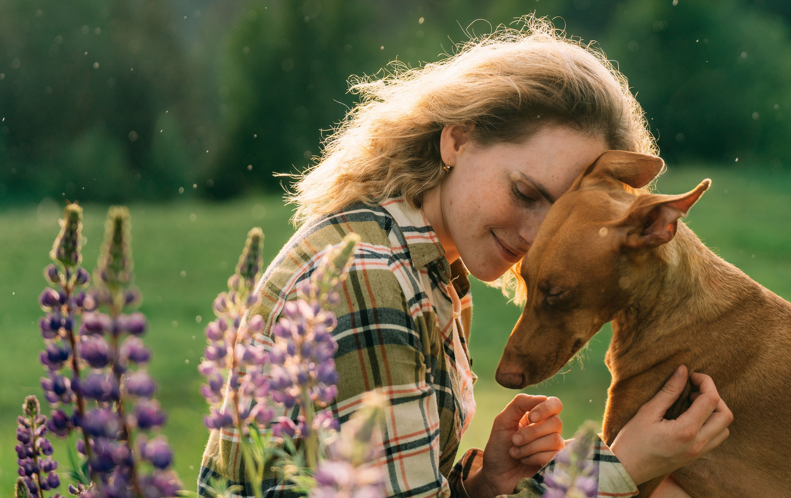 Фотоссесия с двумя собакми Спб. Фотограф анималист в Спб недорого Олеся Майорова