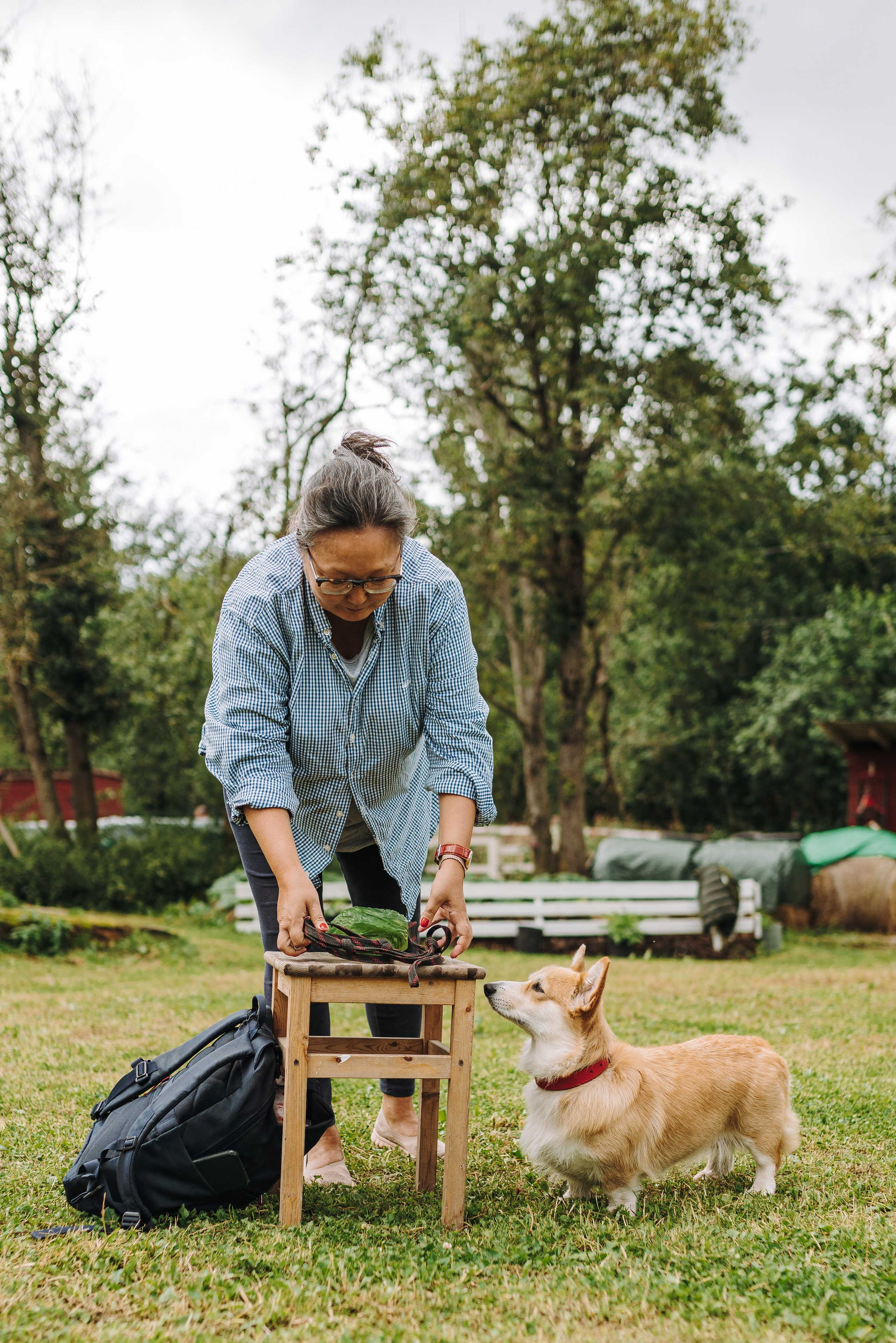 Соревнования по ноузворку в Новожилово. Фотограф анималист в Спб недорого Олеся Майорова