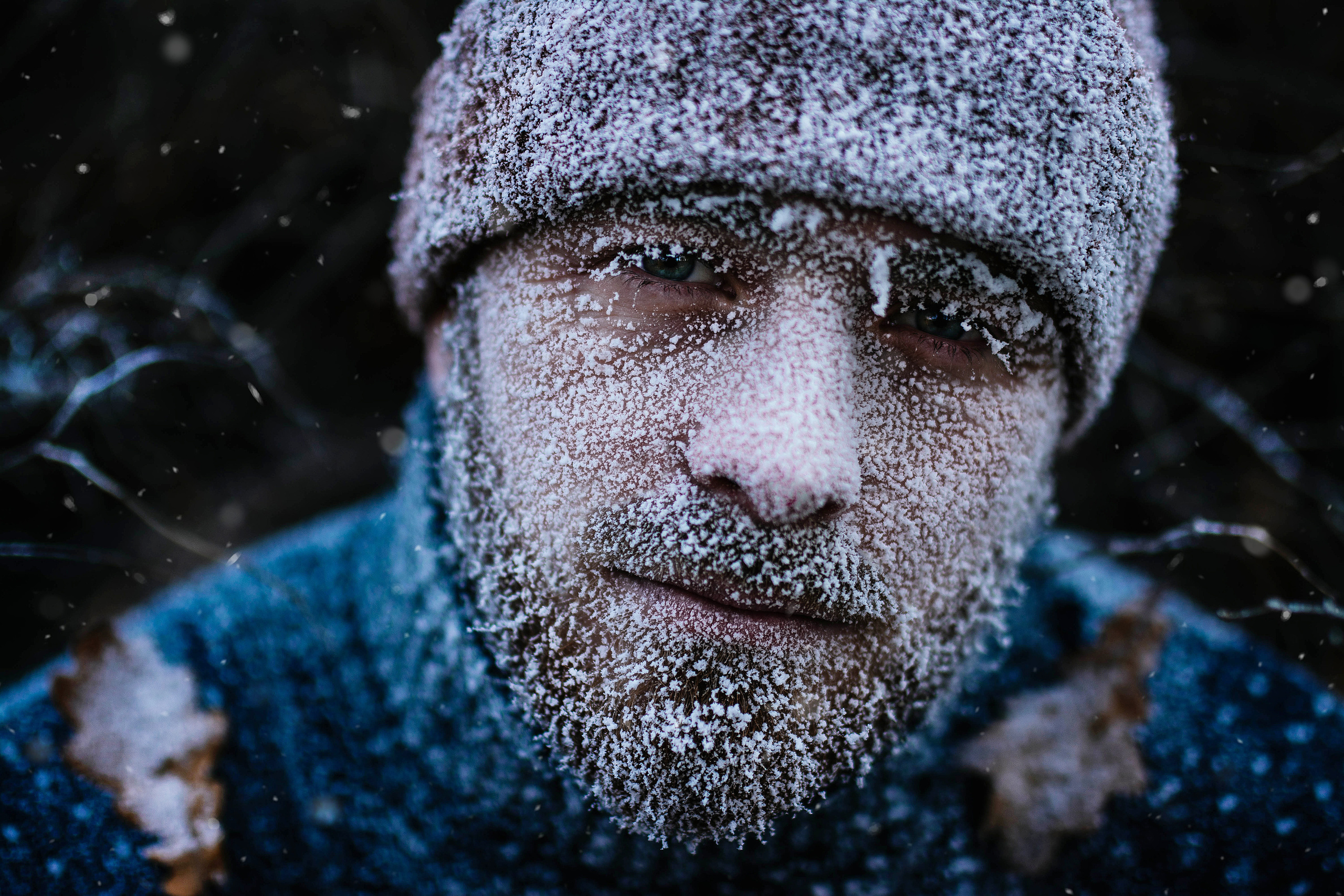 Серии съемок с инеем. Свадебный, семейный фотограф в Рязани Лена Брант