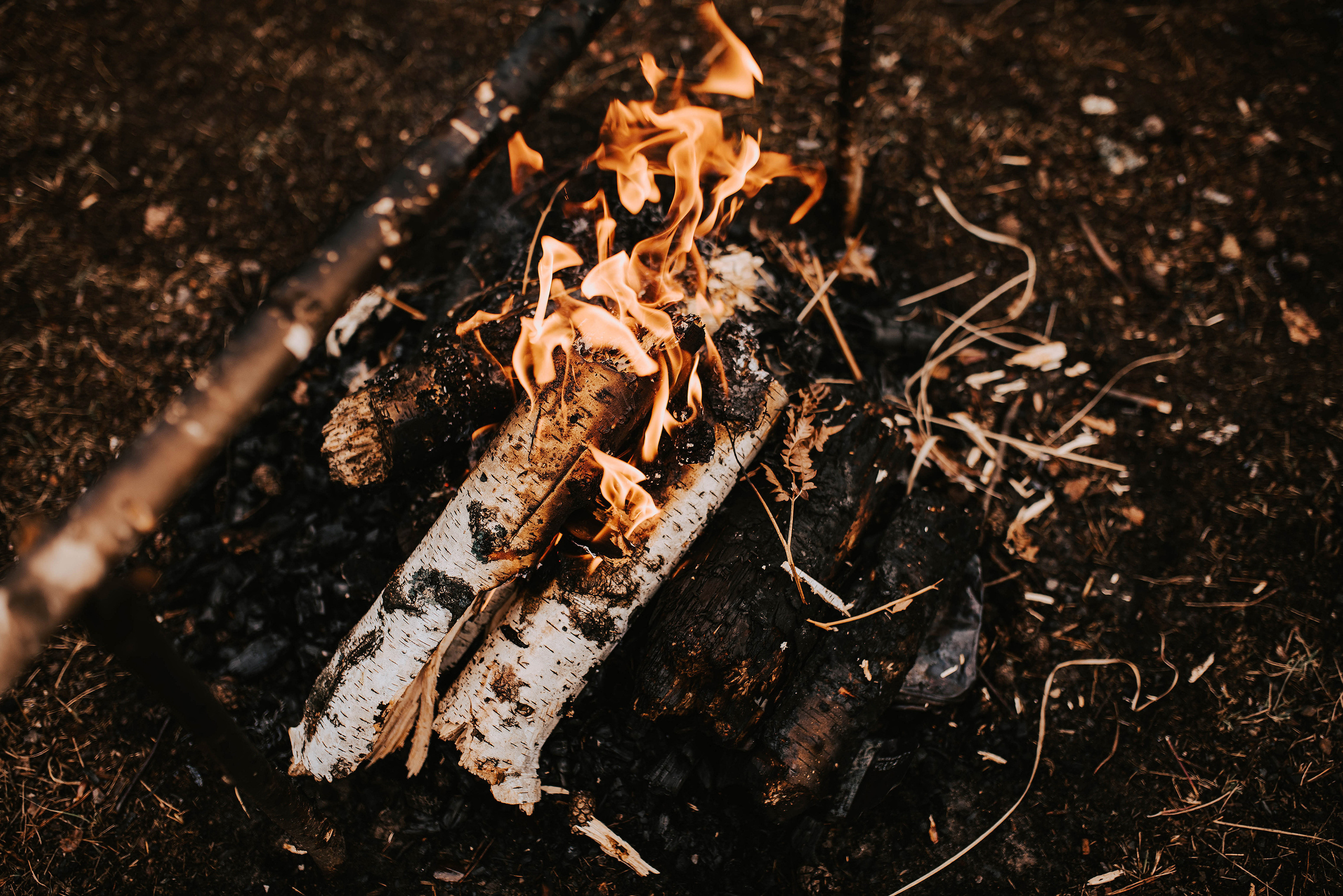 Настя и Юра Ласково. Свадебный, семейный фотограф в Рязани Лена Брант