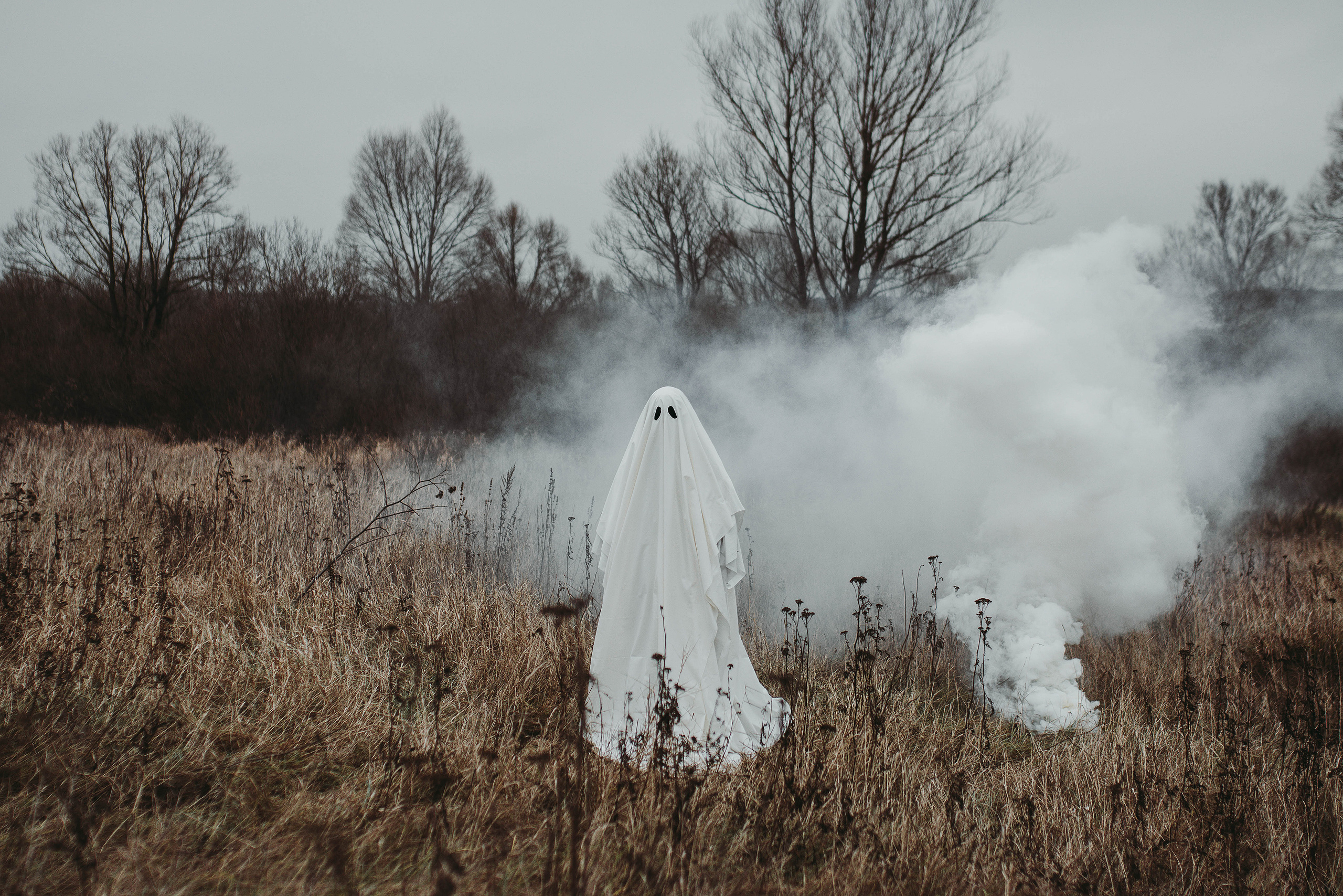Ghoost. Свадебный, семейный фотограф в Рязани Лена Брант