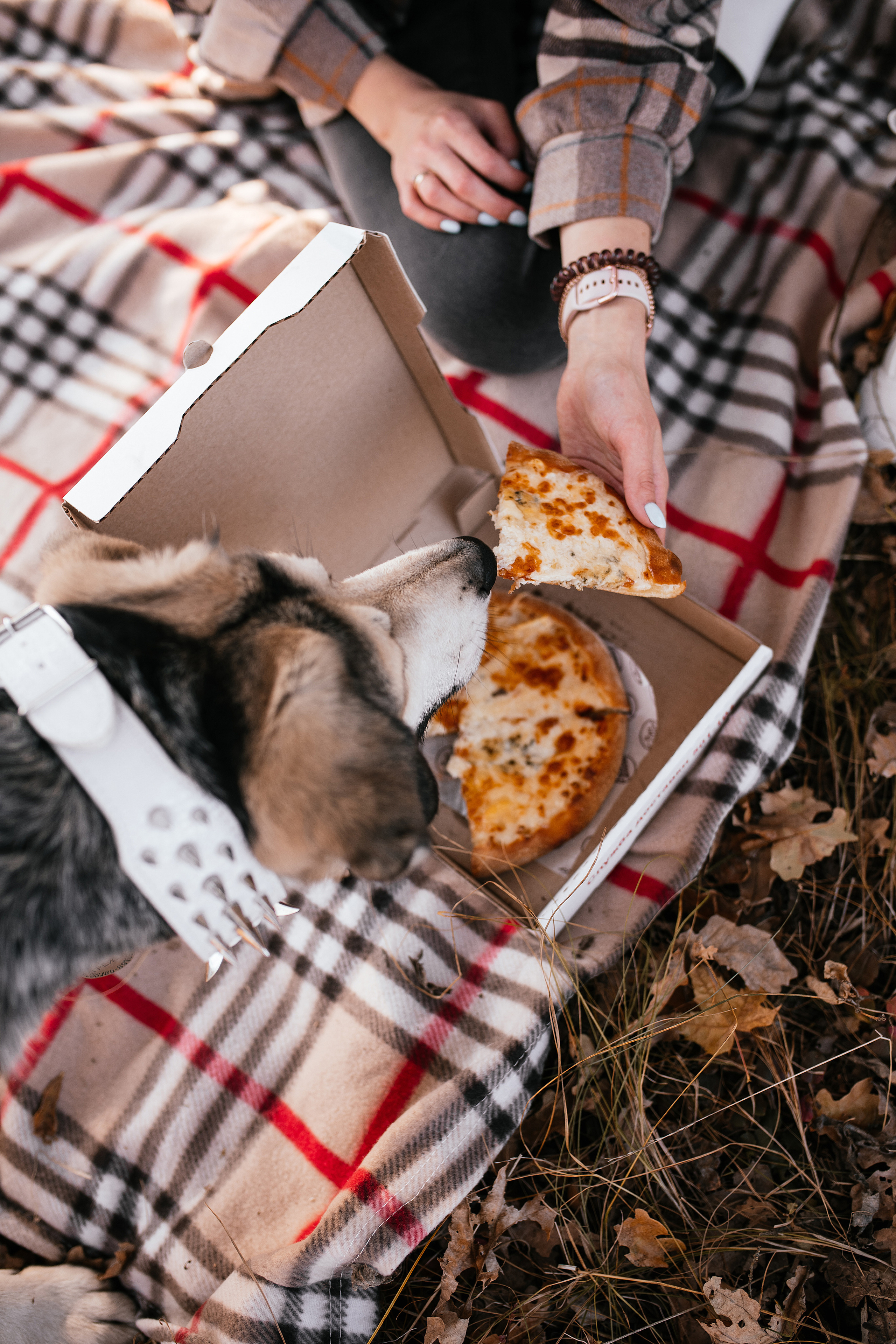 Ирина и Грейси. Свадебный, семейный фотограф в Рязани Лена Брант