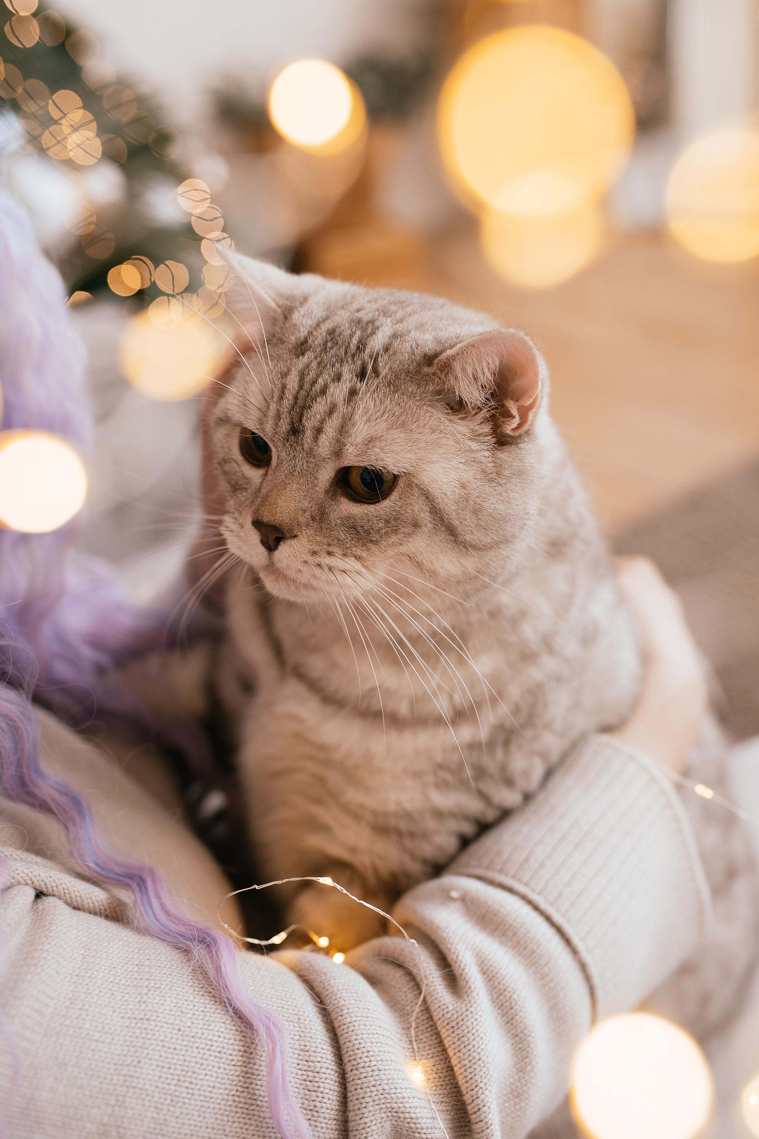 Лена и Батончик. Свадебный, семейный фотограф в Рязани Лена Брант