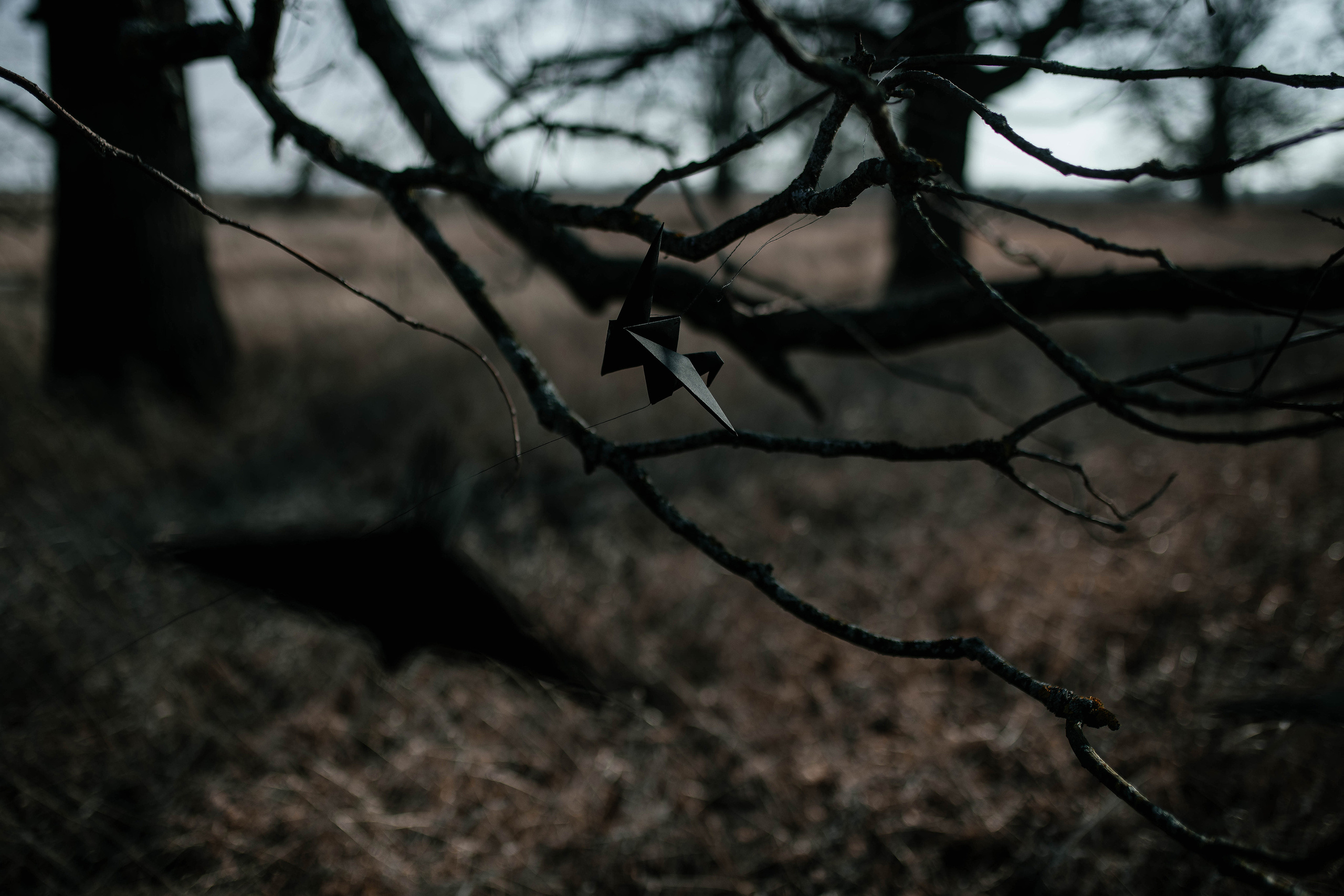 Освещение проблемы грязного воздуха. Свадебный, семейный фотограф в Рязани Лена Брант