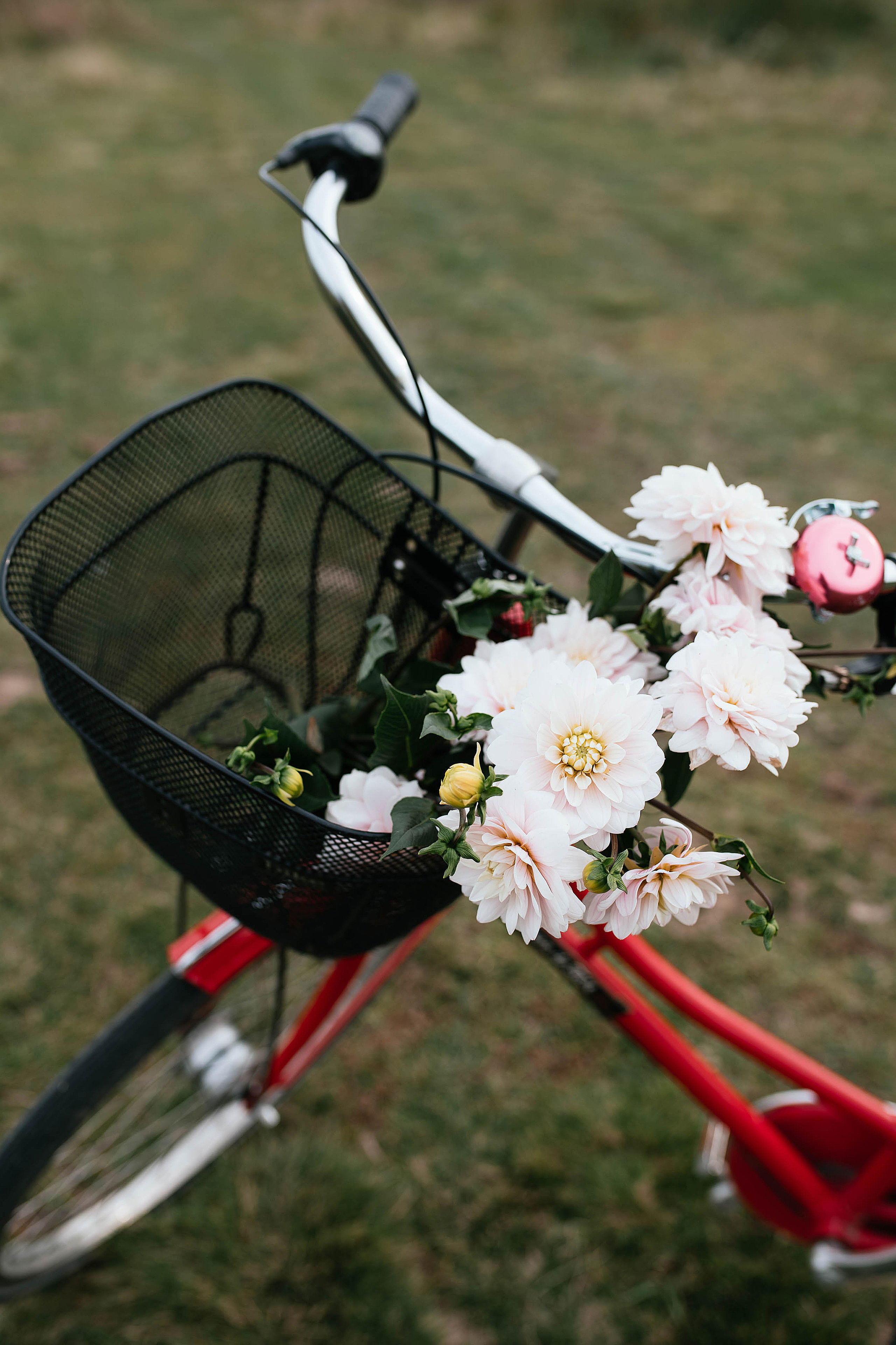 Семейная в деревне. Свадебный, семейный фотограф в Рязани Лена Брант