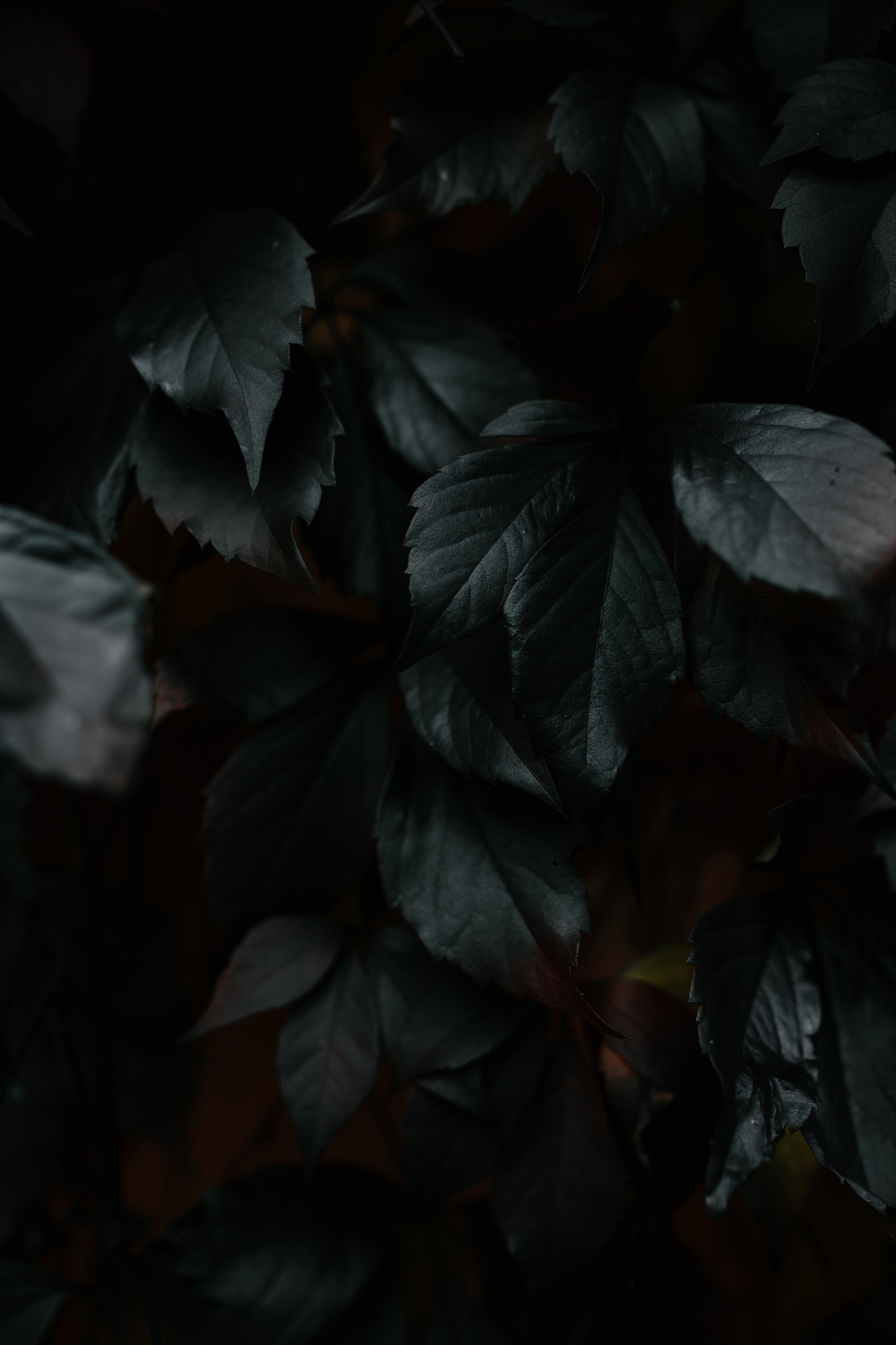 October. Свадебный, семейный фотограф в Рязани Лена Брант