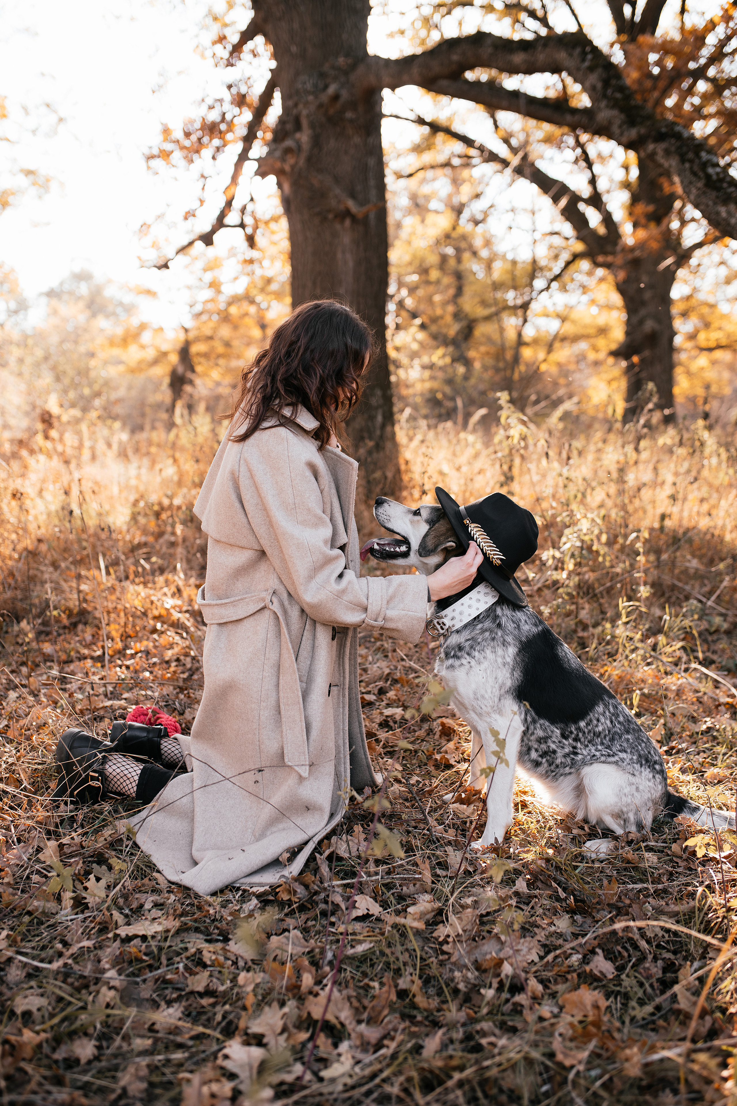 Ирина и Грейси. Свадебный, семейный фотограф в Рязани Лена Брант
