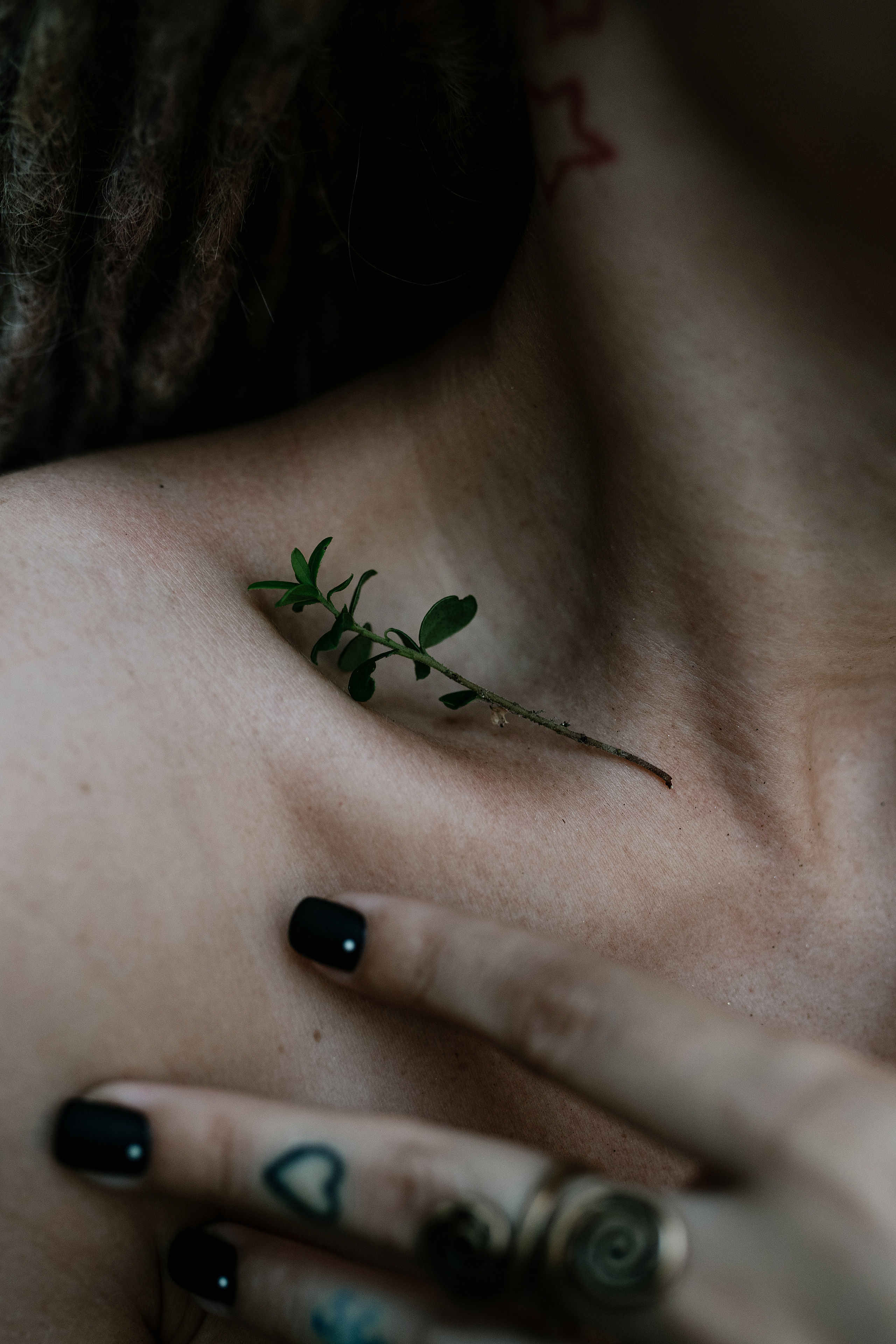 Forest. Свадебный, семейный фотограф в Рязани Лена Брант